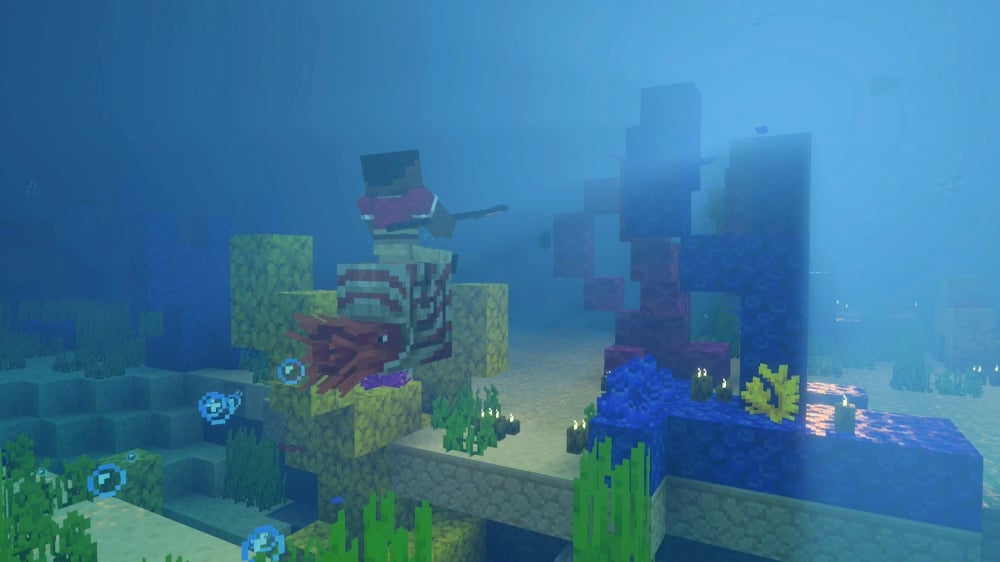 我的世界       Minecraft ｜Nintendo Switch 2
