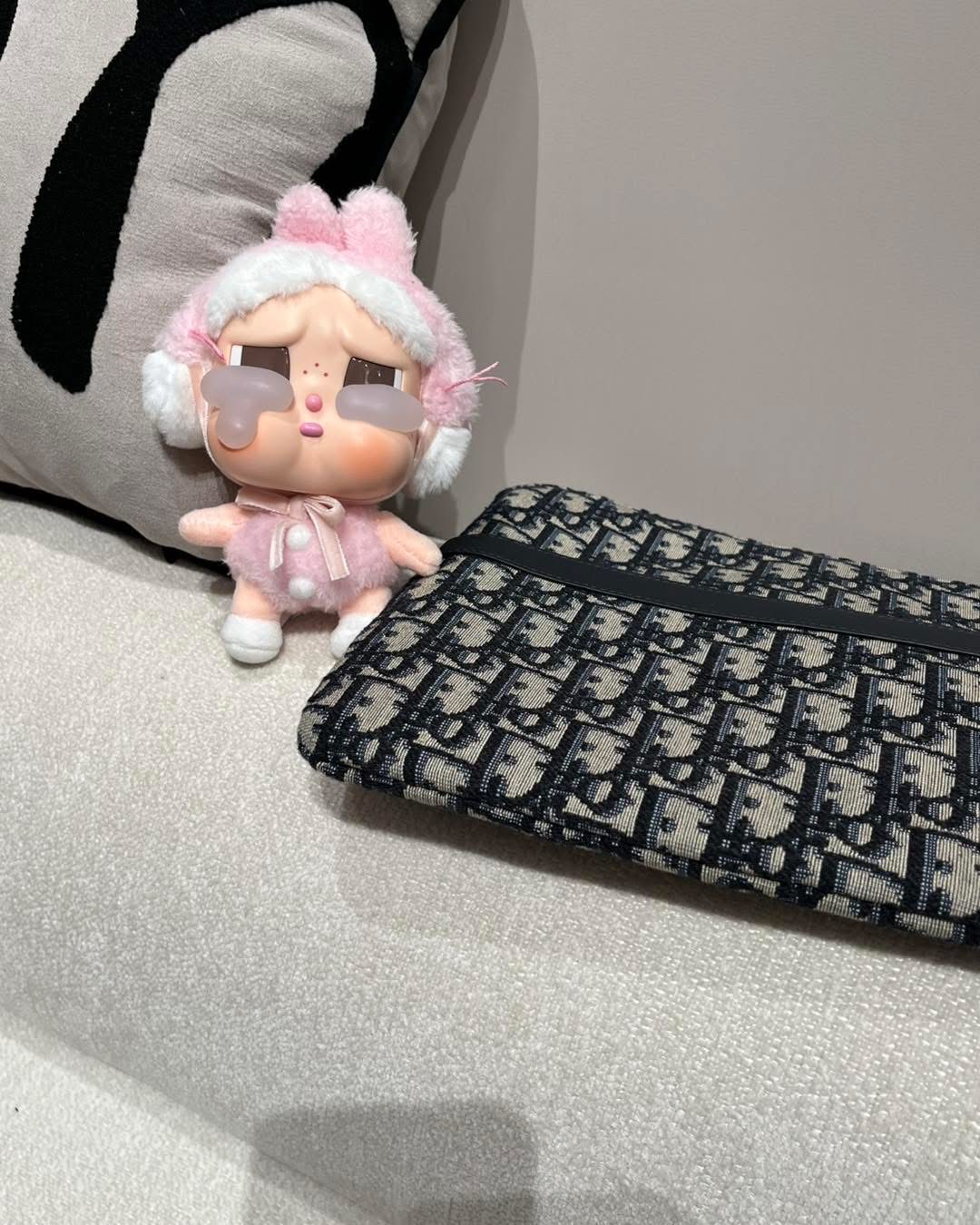 Dior travel pouch clutch bag Oblique Clutch W26cm  x H21cm 100%Authentic,99%new