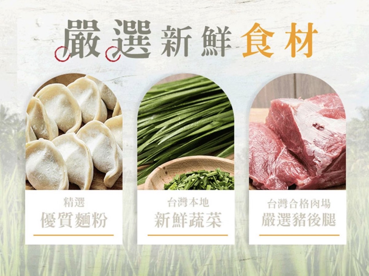 台灣朱記韭菜豬肉水餃（725g）