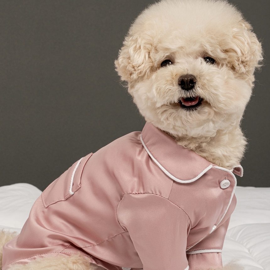 *SuperPet🇰🇷狗狗高級絲綢風睡衣
