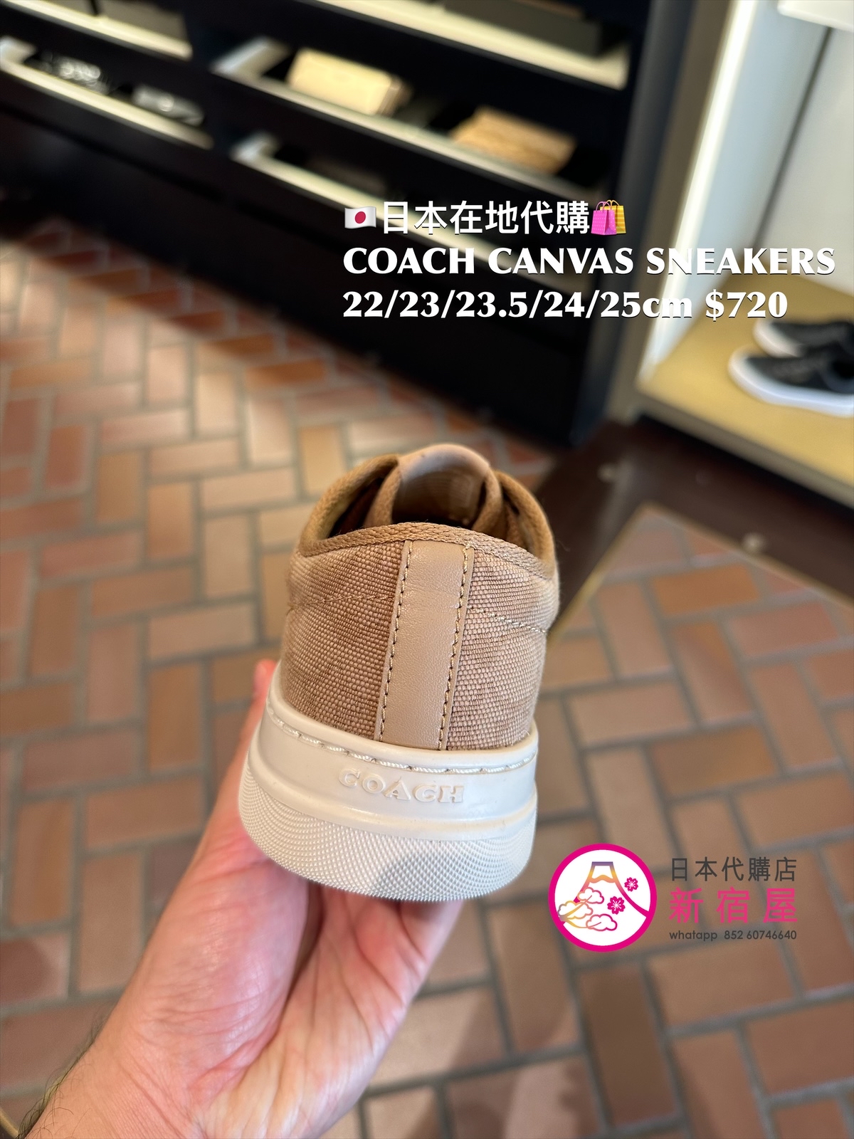 COACH CANVAS SNEAKERS