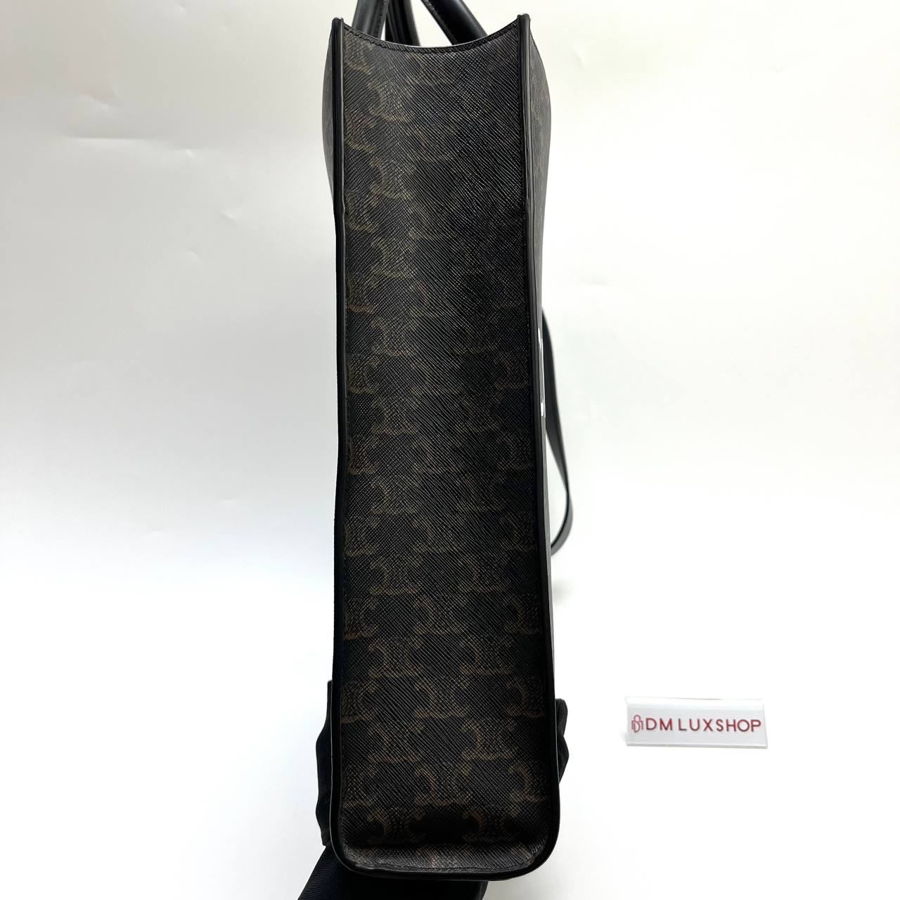 Celine Vertical Cabas in Triomphe Medium