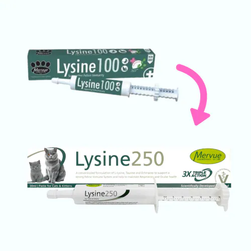 Mervue - Lysine 250 貓用補充劑(舒緩貓疱疹病毒病狀) 30ml