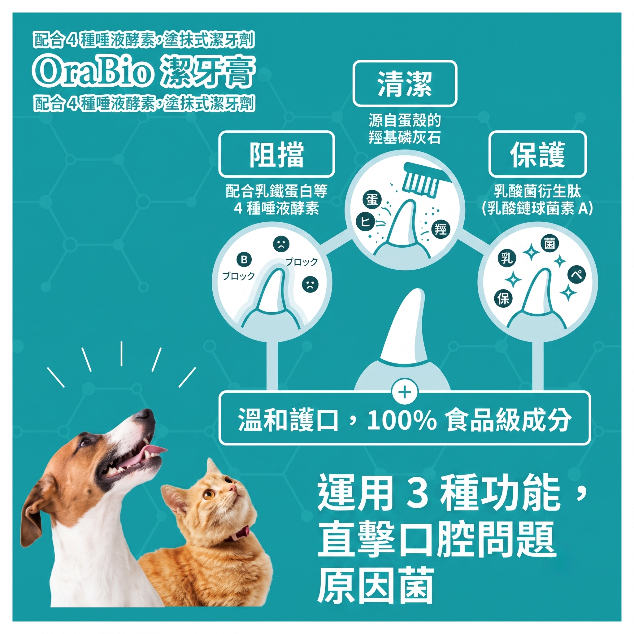 OraBio🇯🇵PRO 升級版無添加酵素牙膏 (無香料 / 50g)