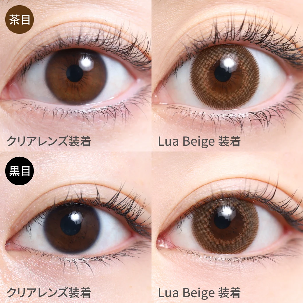TeAmo - Cheria Lua Beige (1day/10P)