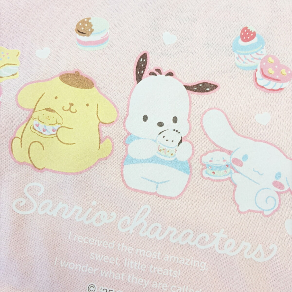 🆕【⭐訂購⭐】🇯🇵日本直送🌀 #SanrioCharacters 長袖 tee［3款選］🌀[PLCA-0080] [260405]