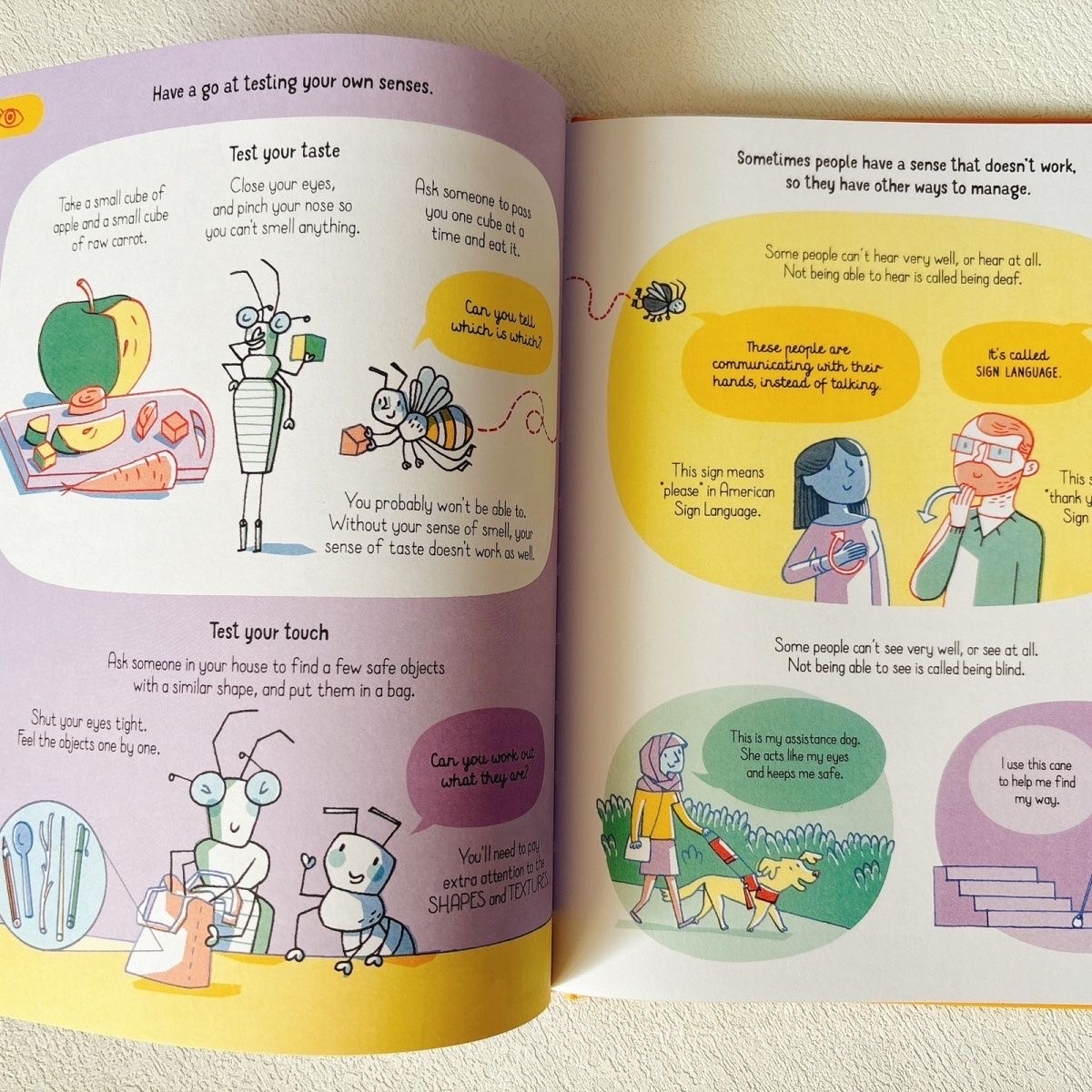 All You Need to Know about Your Body by Age 7 