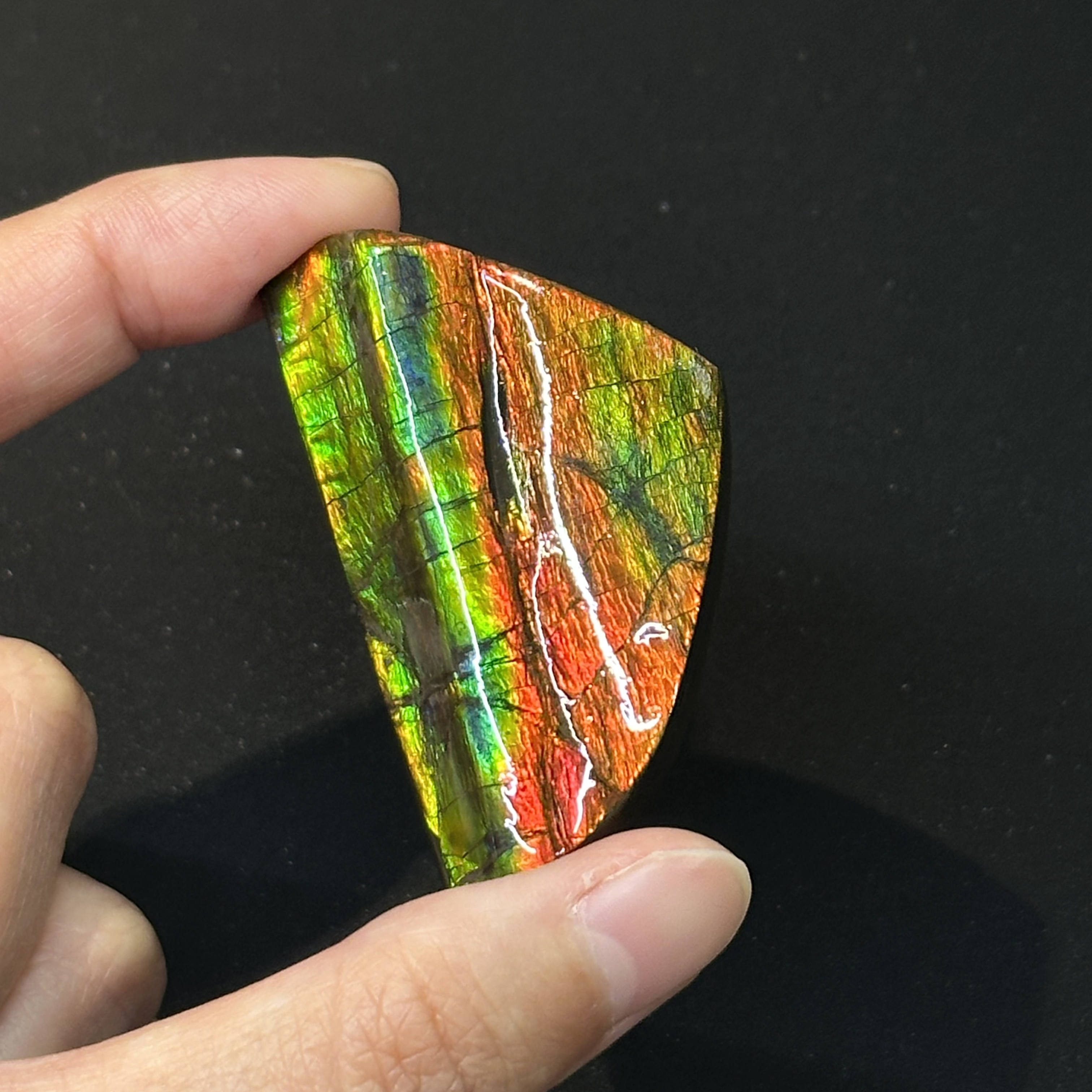 斑彩石 - Ammolite AM04