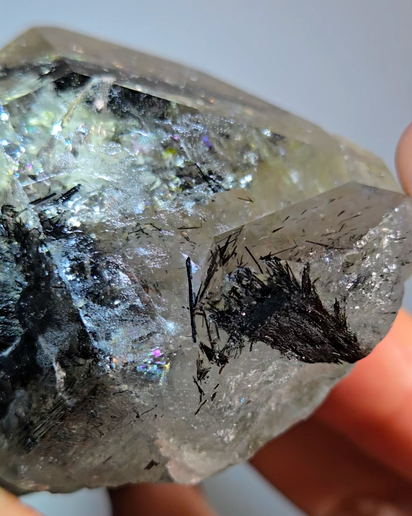 Black tourmaline inclusion smoky quartz with rainbows - RT1457