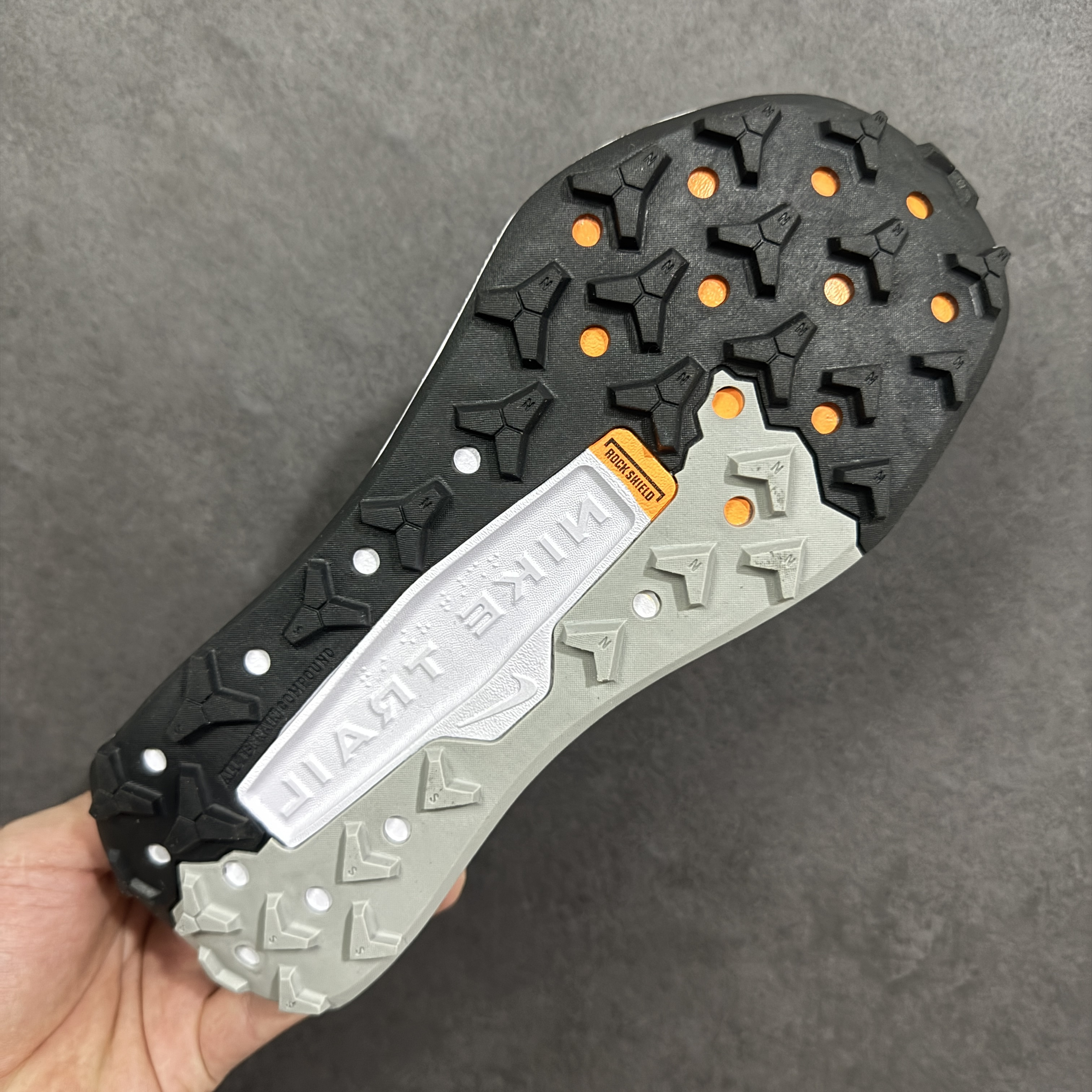 Nike Wildhorse 10 FV2338-001