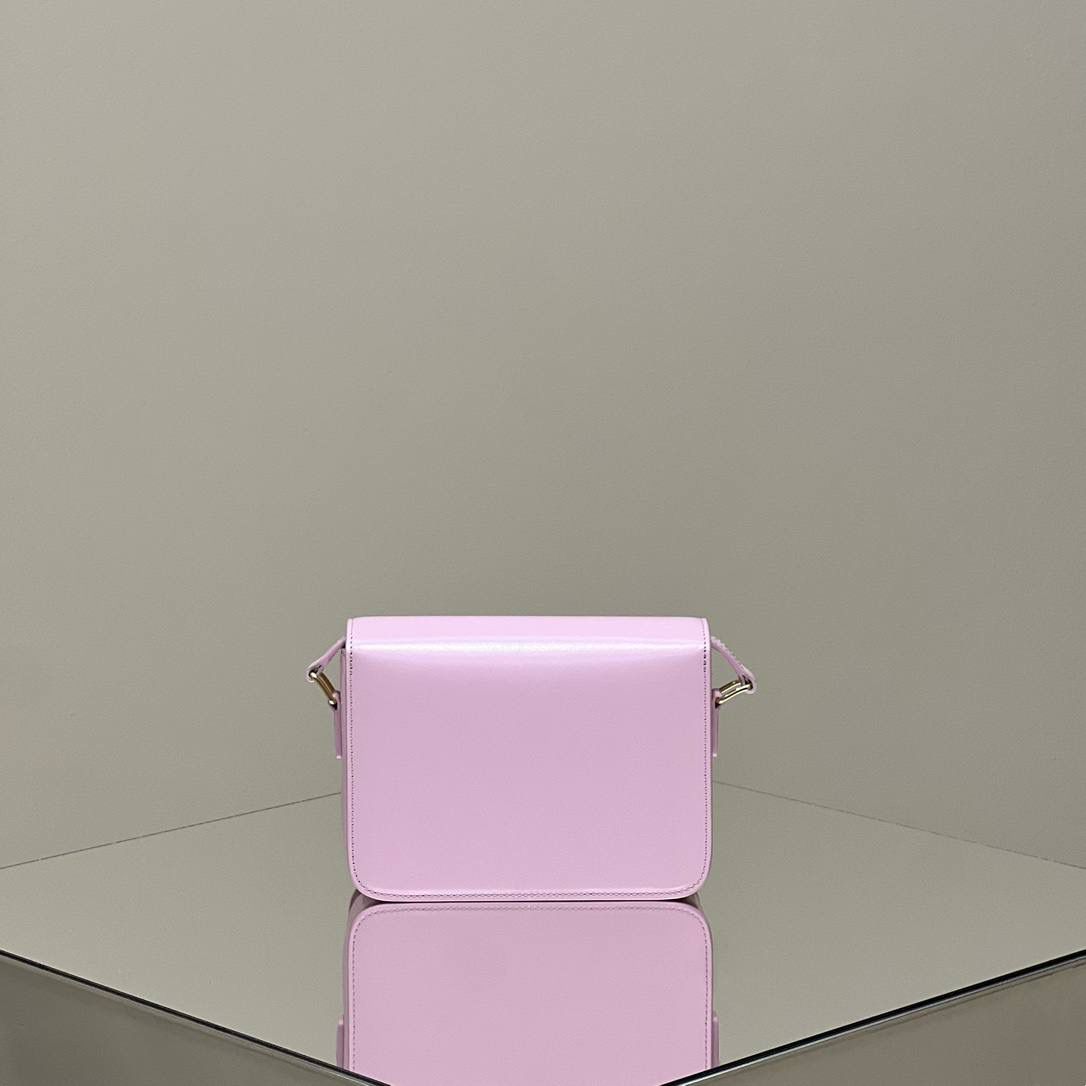 🔥大货实拍图 𝗖𝗘𝗟𝗜𝗡𝗘 ♥ 𝗧𝗘𝗘𝗡 𝗧𝗥𝗜𝗢𝗠𝗣𝗛𝗘 型号：188423 中号尺寸：22.5*16*7cm 小号尺寸：18.5*14*6cm