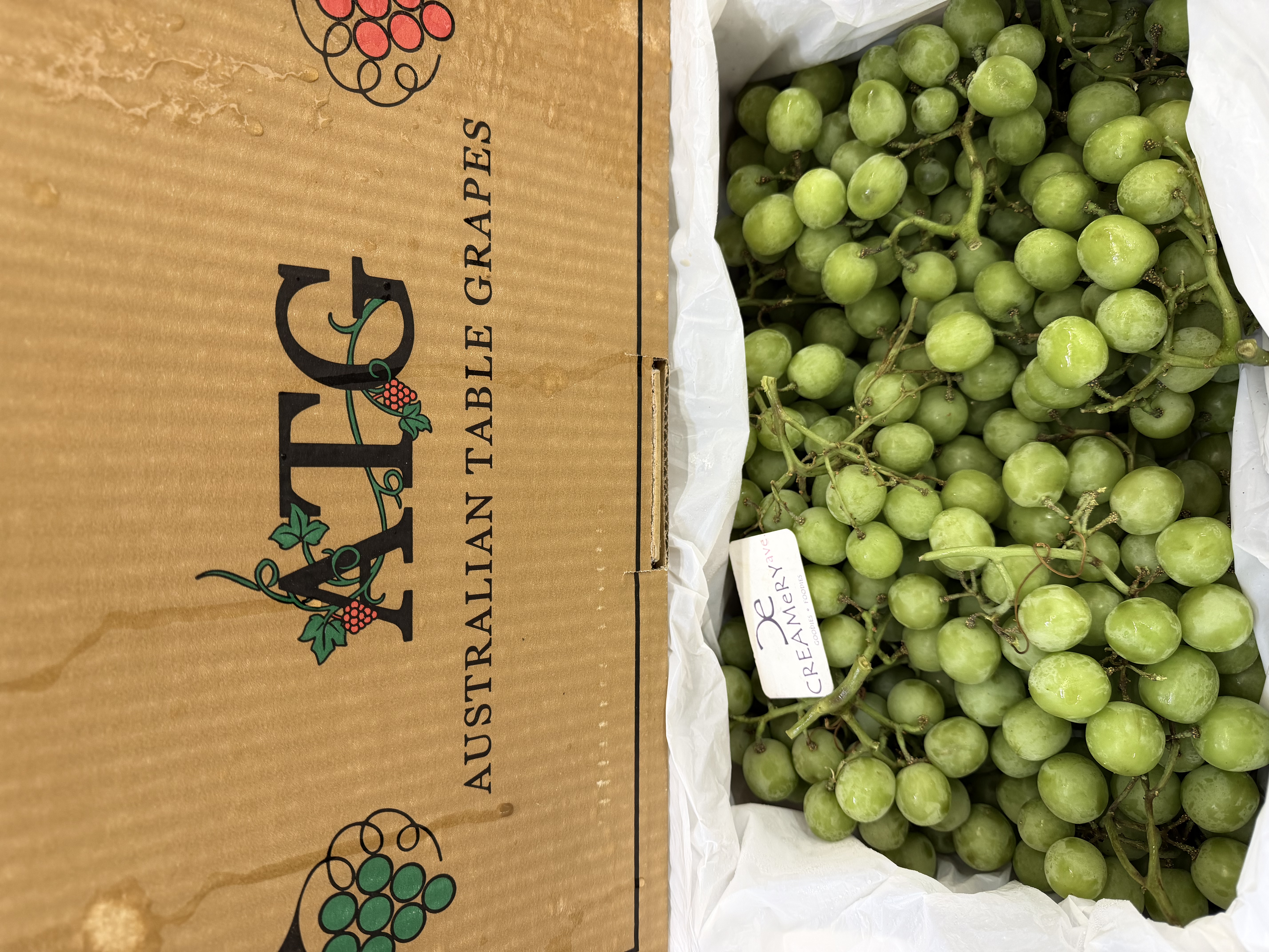 澳州 ATG 大大粒波子青提 Australia Seedless Grape Green 2磅Lbs