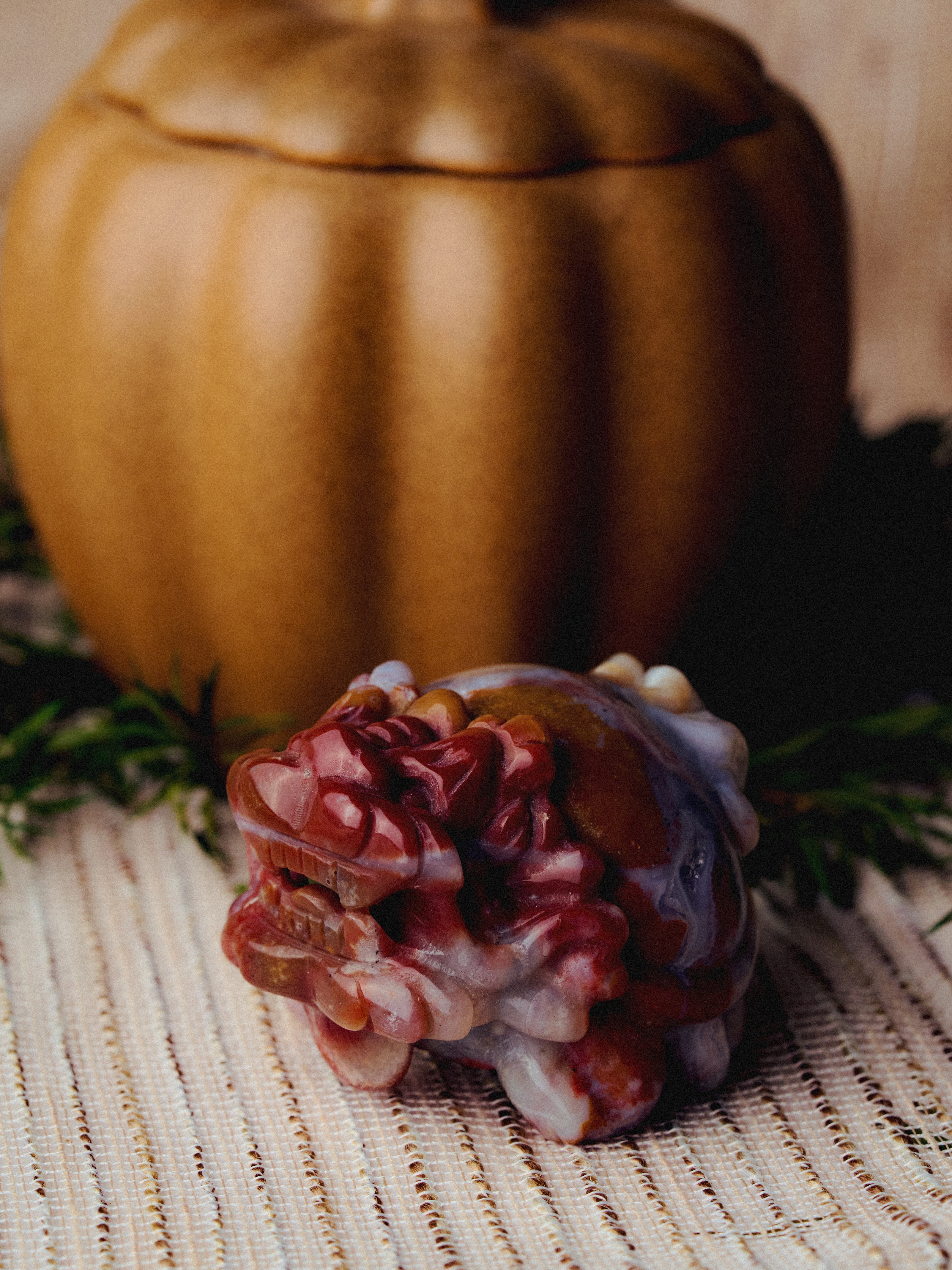 Met Your Soul Dragon Turtle