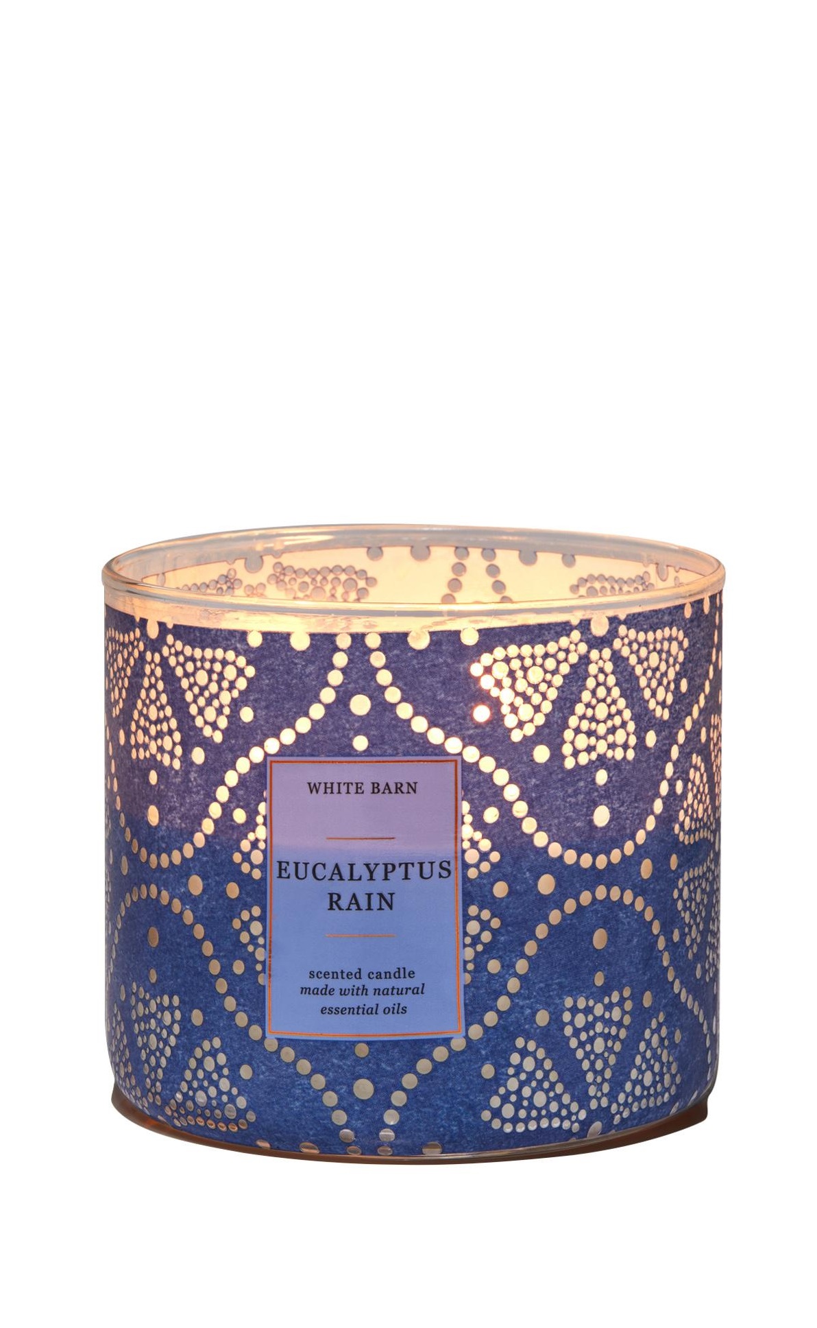 Eucalyptus Rain 3-Wick Candle