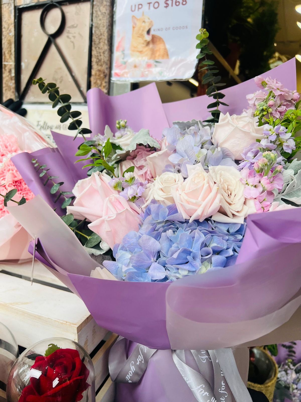 夢語星辰 Dreamy Lilac