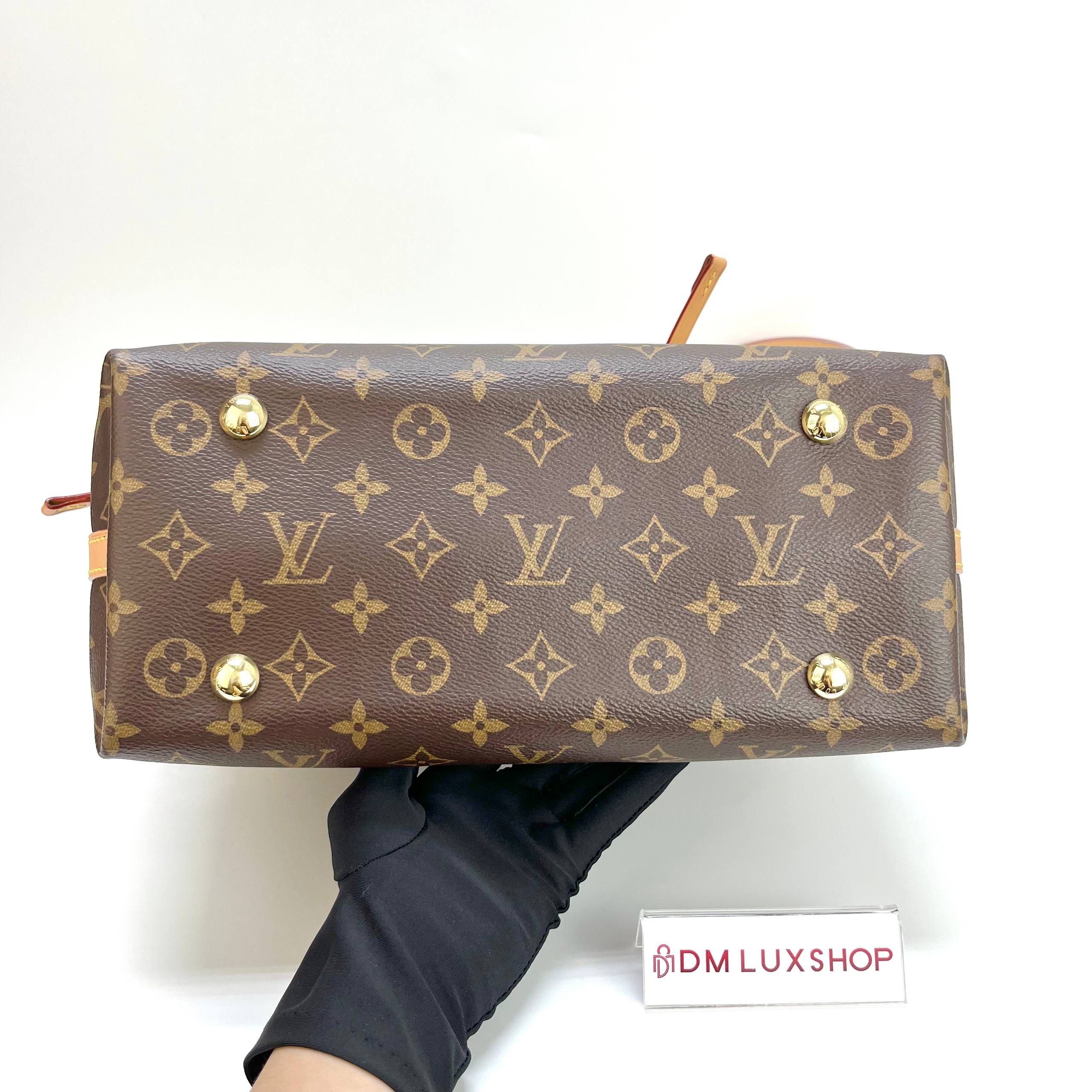 LV Monogram CarryAll PM GHW