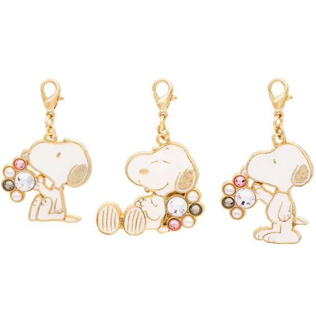 Peanuts Charm Set
