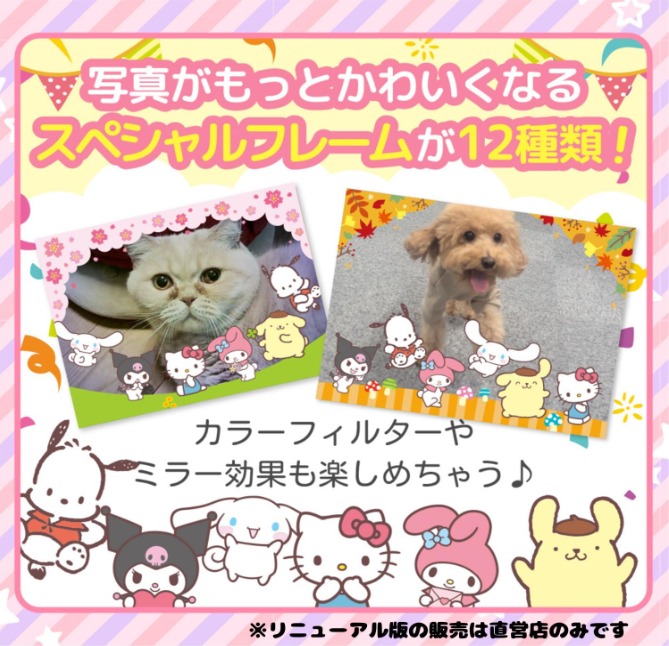日本直送🇯🇵 Sanrio Characters 兒童相機