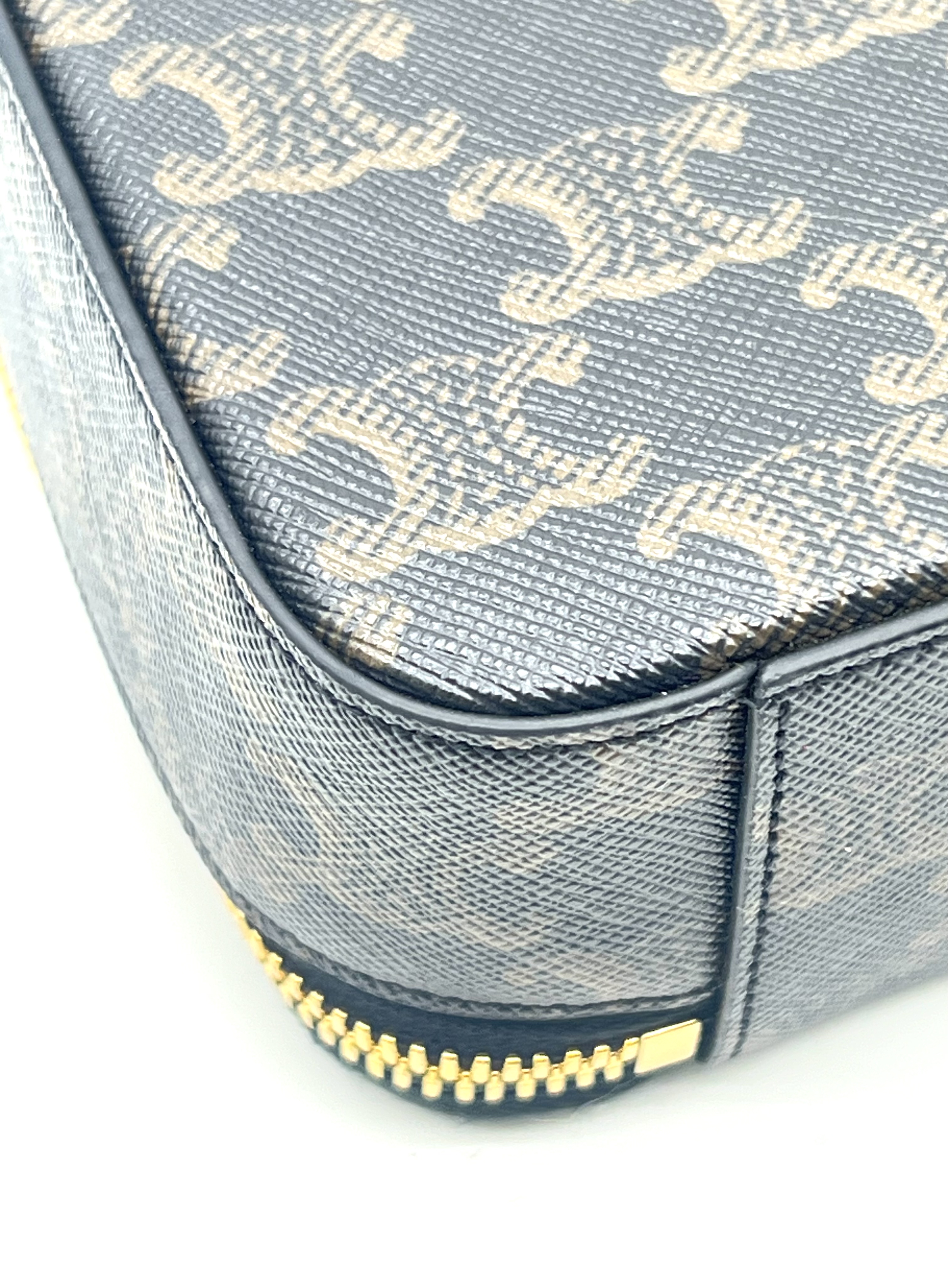 Pre-Owned CELINE Triomphe Vanity Case / Product Code: 26051704