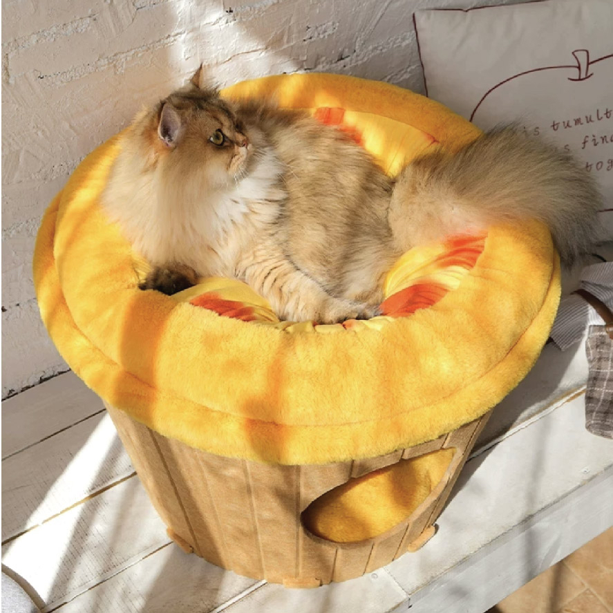 🇭🇰雙層蛋撻暖暖貓咪窩🐈