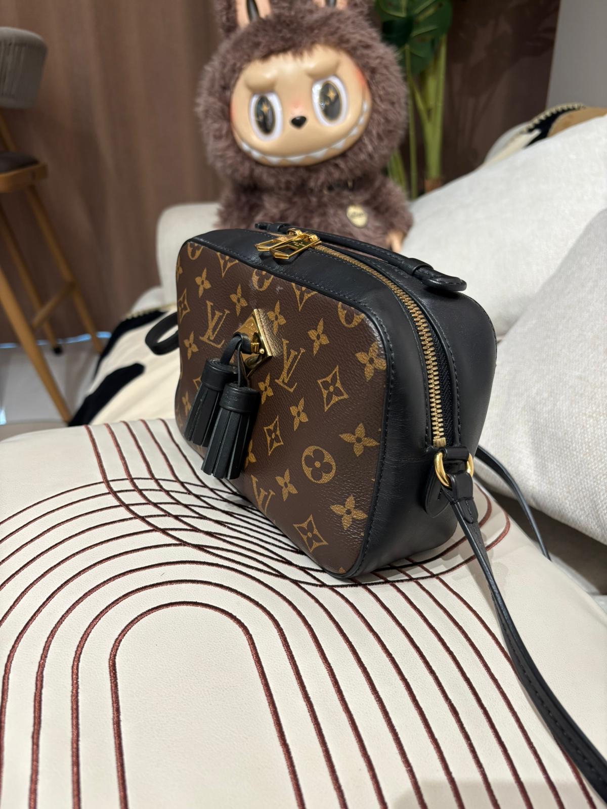 Lv SAINTONGE M43555 camera bag 100%Authentic,93%New ✅Dust bag 