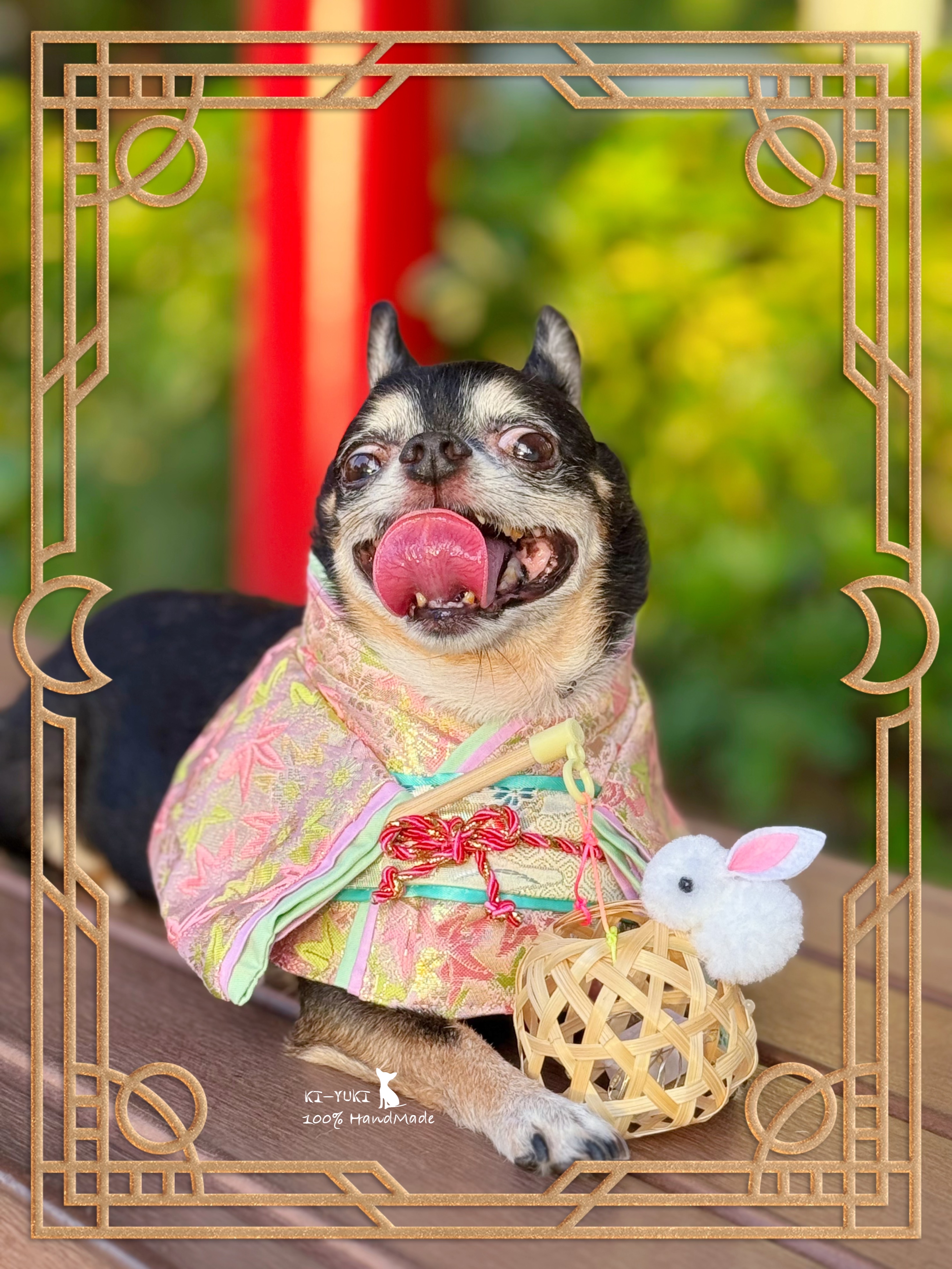 🪇2025 🥮萌寵中秋新作品🐾  