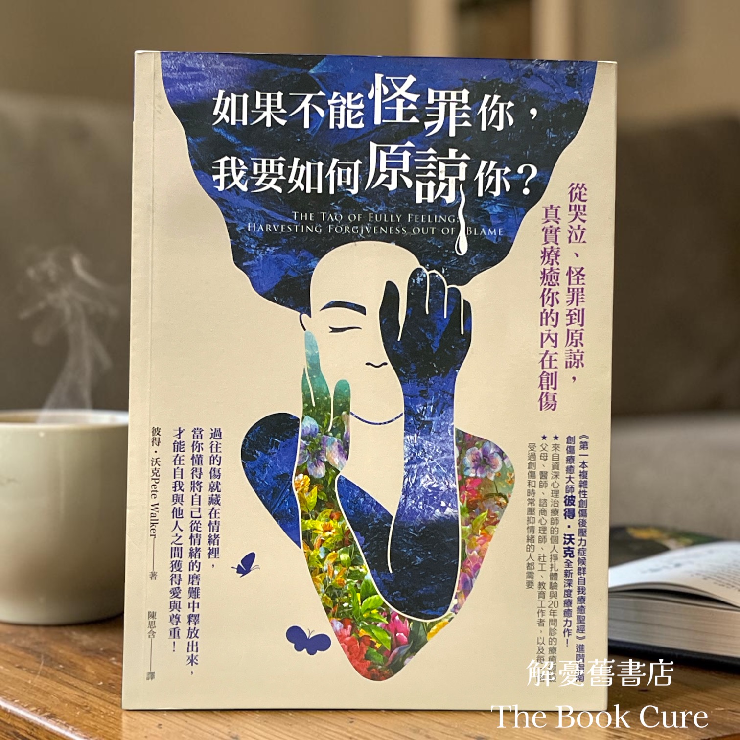 如果不能怪罪你，我要如何原諒你？/ 彼得．沃克 著