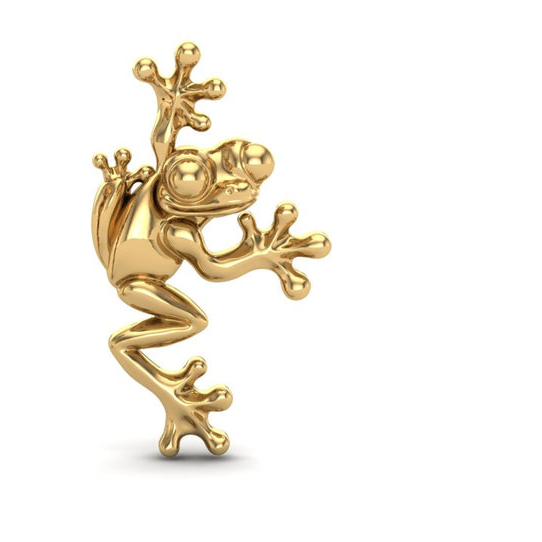 Frogie 