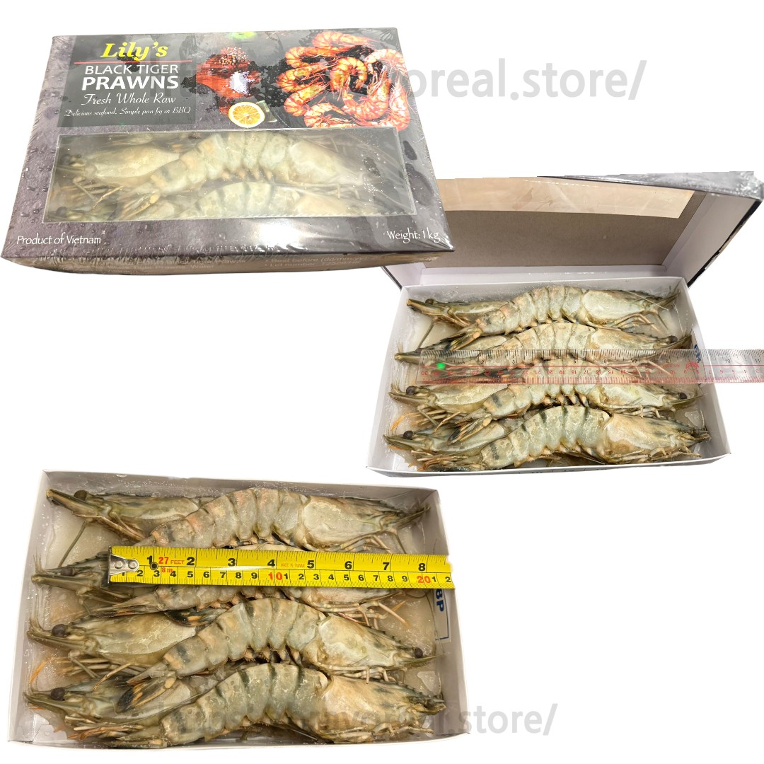 越南 - Lily's 8頭 原隻黑虎蝦 約9吋 [ 8頭 / 1000g  ] BBQ /  火鍋 · 正