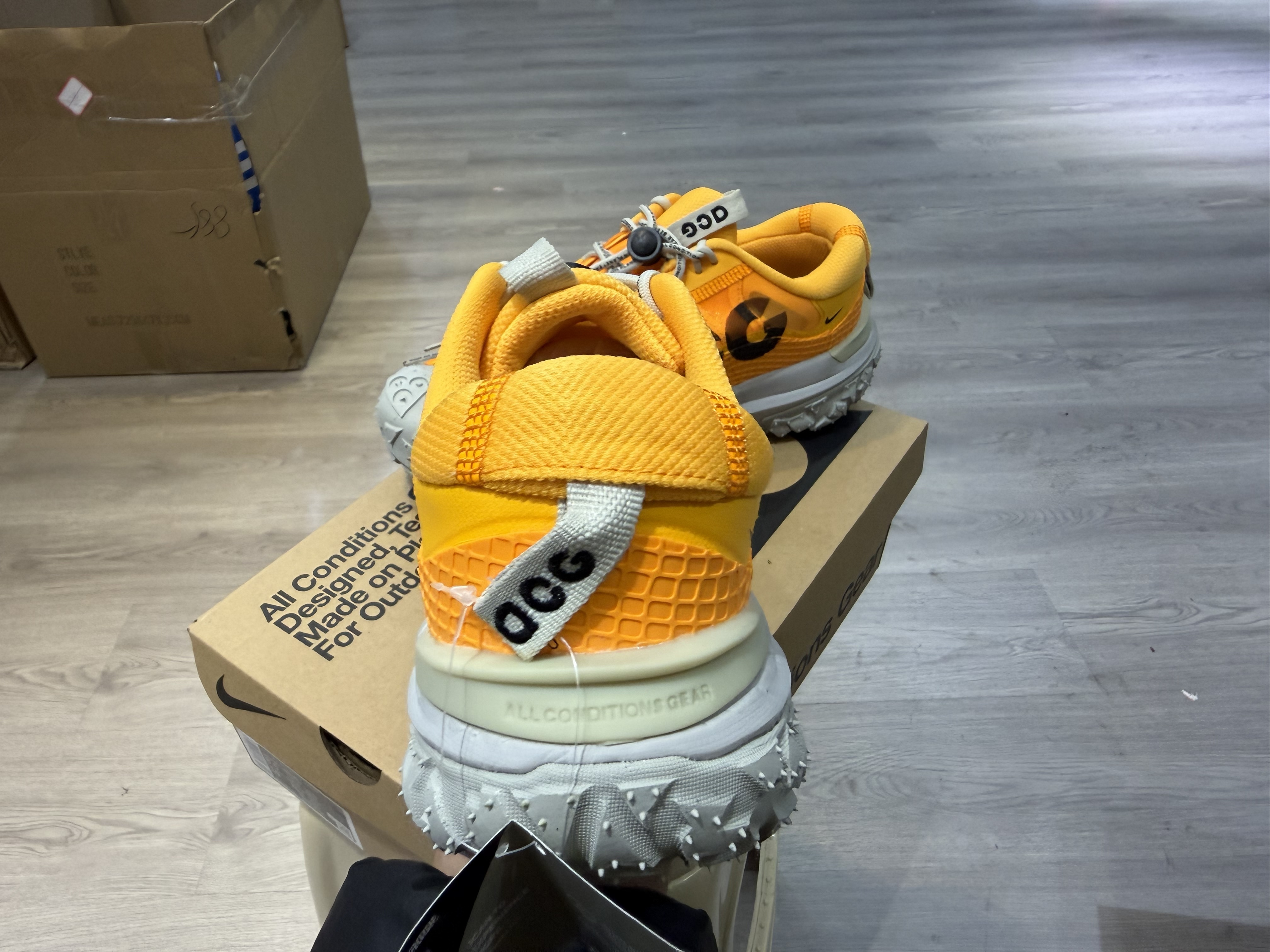 Nike ACG Mountain Fly 2 Low