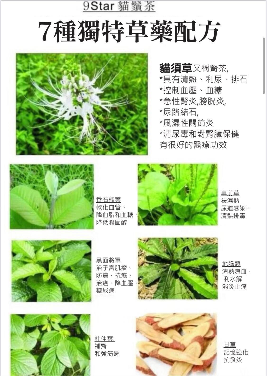 $158盒。2盒起$148盒。馬來西亞[M02] 貓鬚茶 Misai Kucing Tea 60包裝7