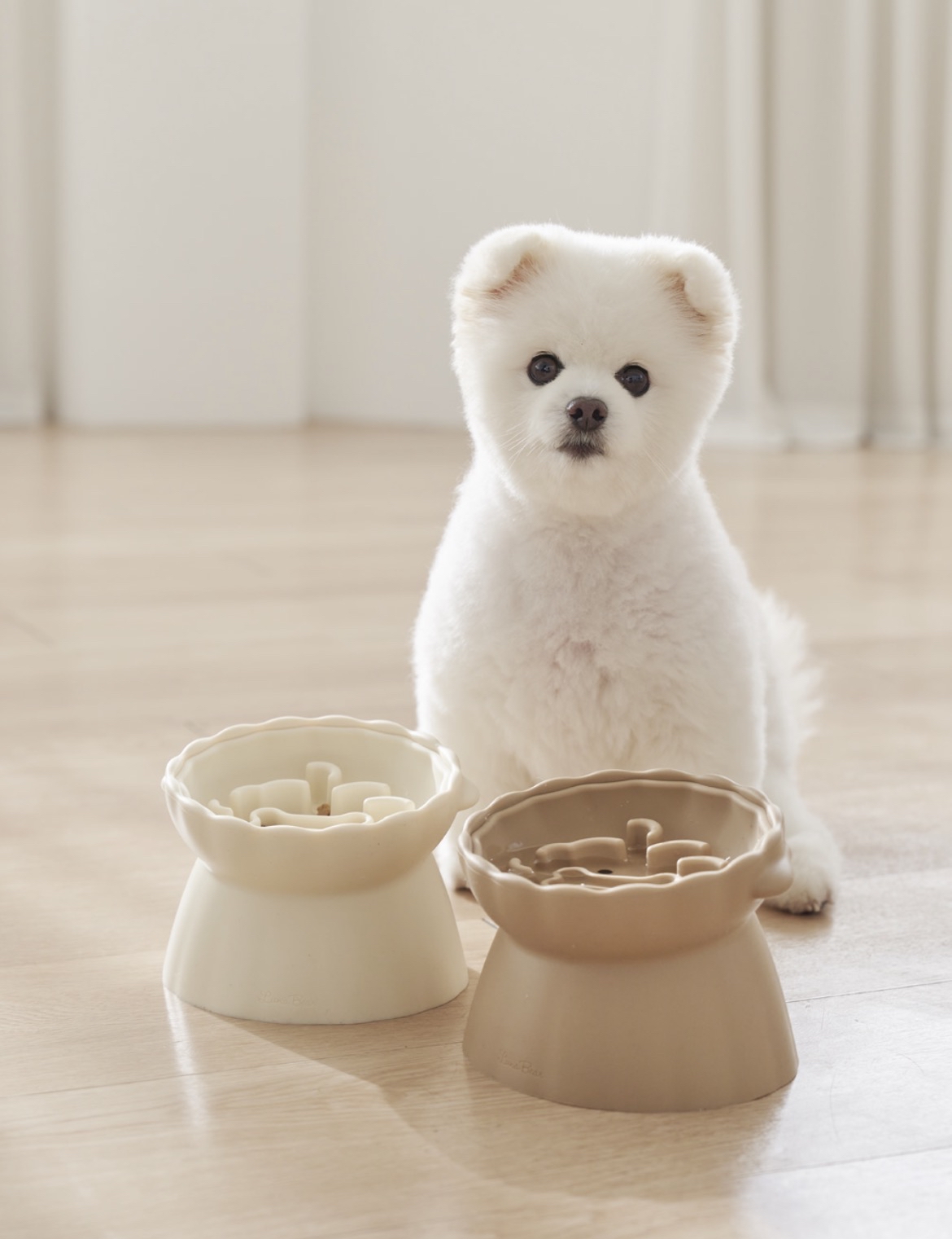 韓國🇰🇷 狗狗造型慢食碗set