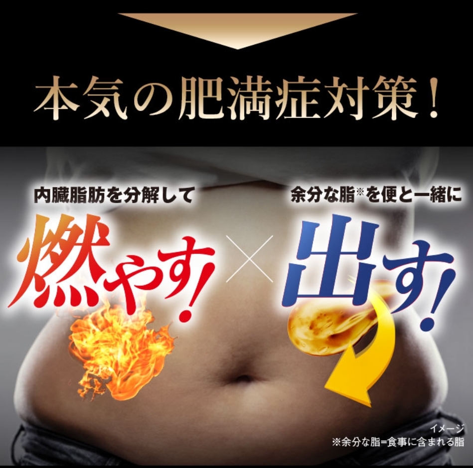 日本小林製藥 漢方防風通聖散 分解減脂排油 Za升級強效版 105錠(7日分) / 420錠(28日分)