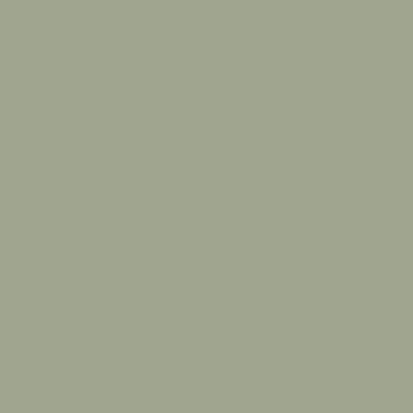 Gush Core Interior Paint