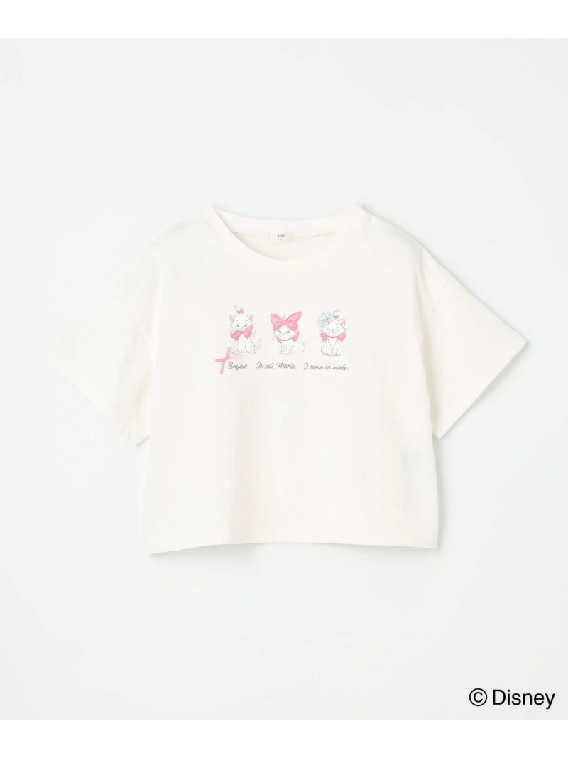 🆕【⭐訂購⭐】🇯🇵日本直送🌀#Marie 立體絲帶 短袖Tee［3款選］🌀 [ELEA-0089][260609]