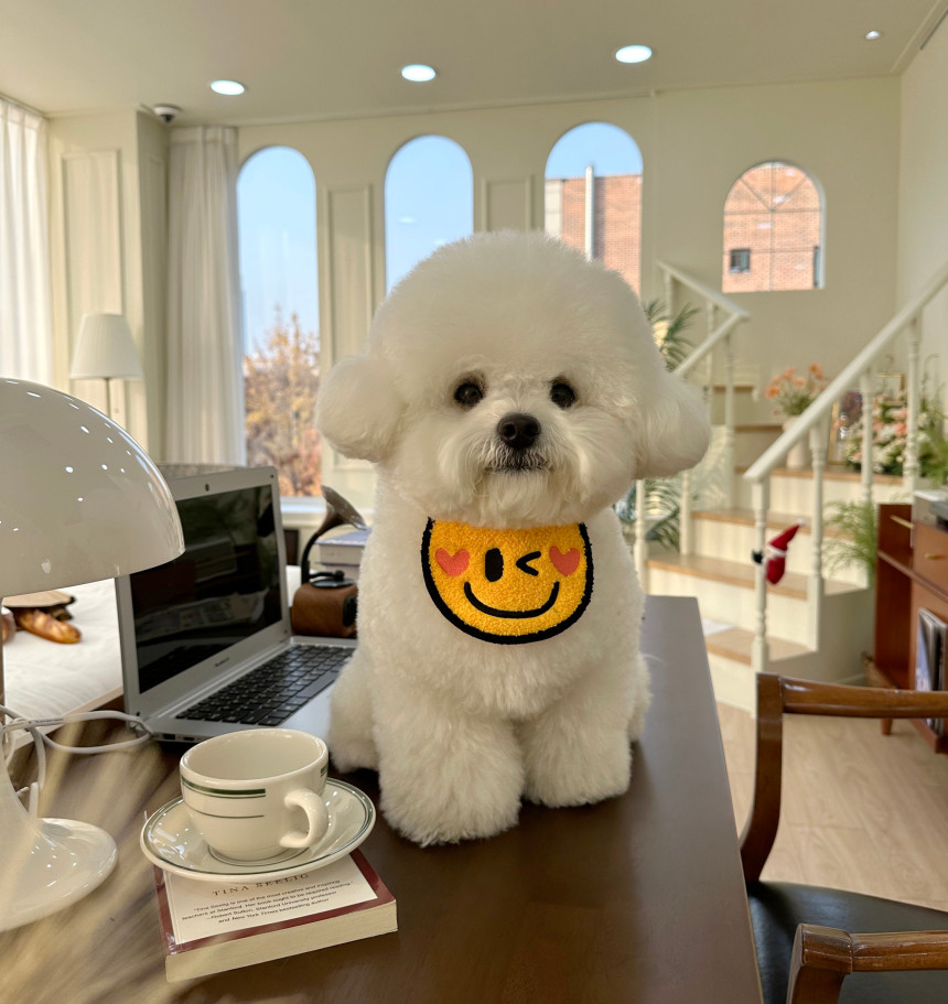 （現貨）韓國🇰🇷 smile cape 😊😊