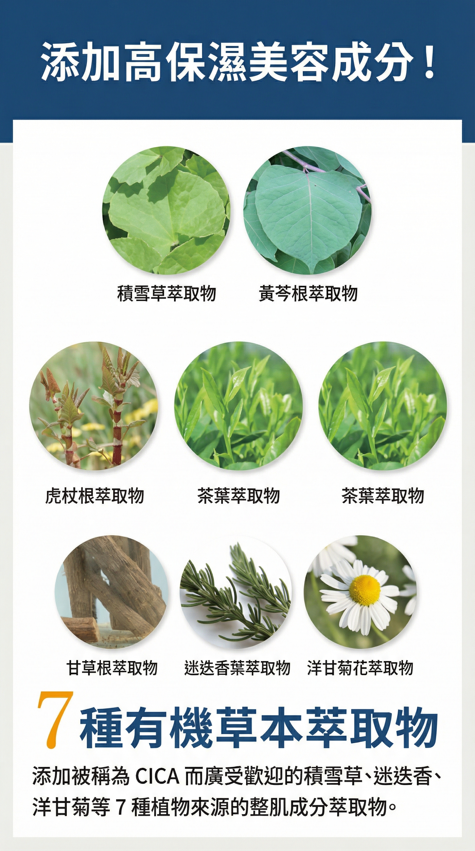 美人之湯・湯原溫泉水 (高保濕水分凝霜) 【日本製】