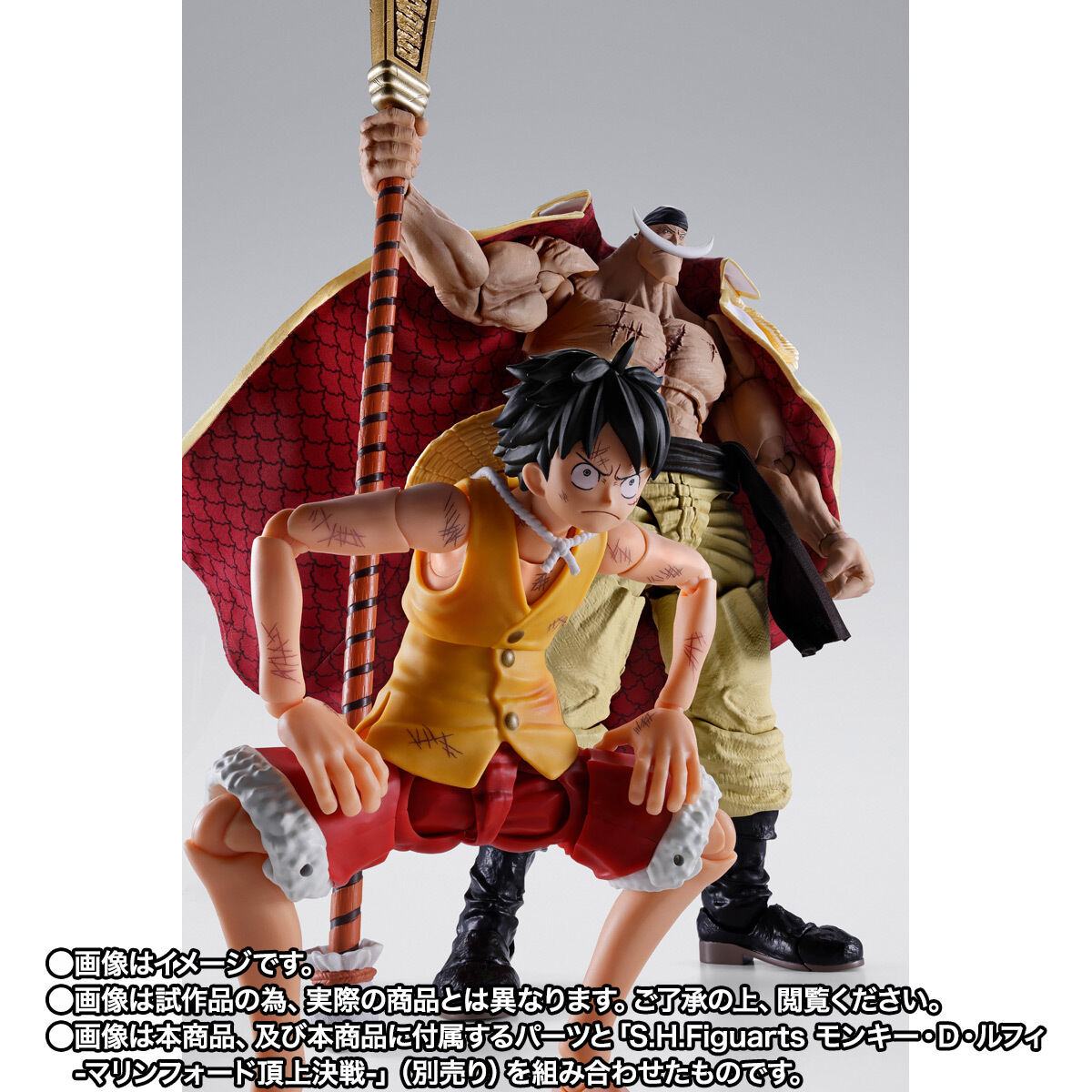 (預訂訂金 $500) (總價 $1560) (魂限) Bandai S.H.Figuarts 海賊王 白鬍子 愛德華·紐歌特 -馬林福特頂上決戰- SHF One Piece Edward Newgate