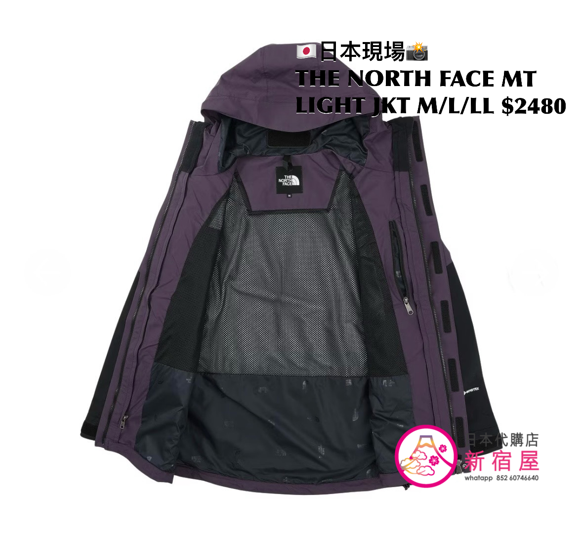 THE NORTH FACE MOUNTAIN LIGHT JACKET