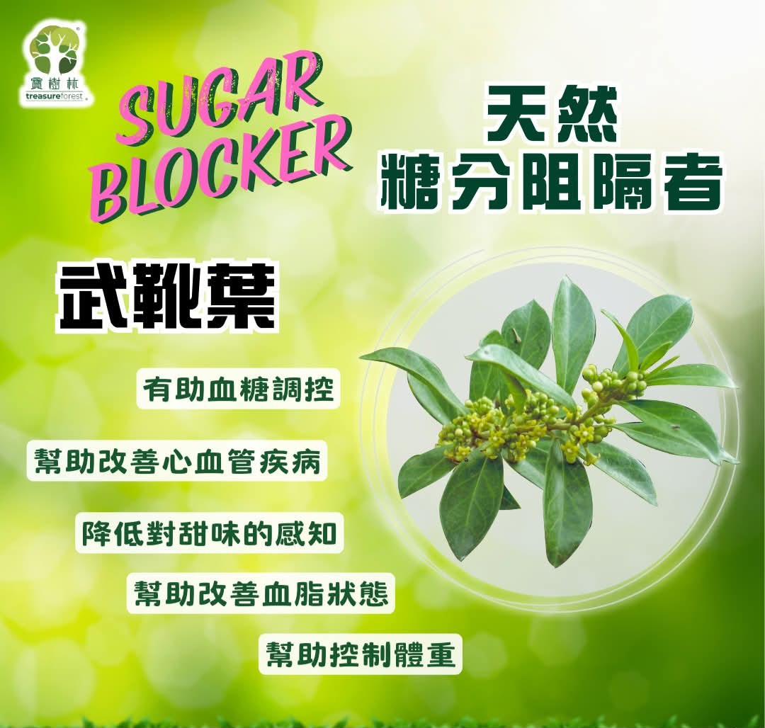 少量現貨！星期二+三落單新年前寄去！誠意推薦大家買定，咁新年食多左嘢都唔再怕長肉肉同控血糖！一盒148元4盒 528元再送14包裝一盒每盒28包！爲左自己健康誠意推薦大家要飲！我自己飲過ok先推薦俾大家👌