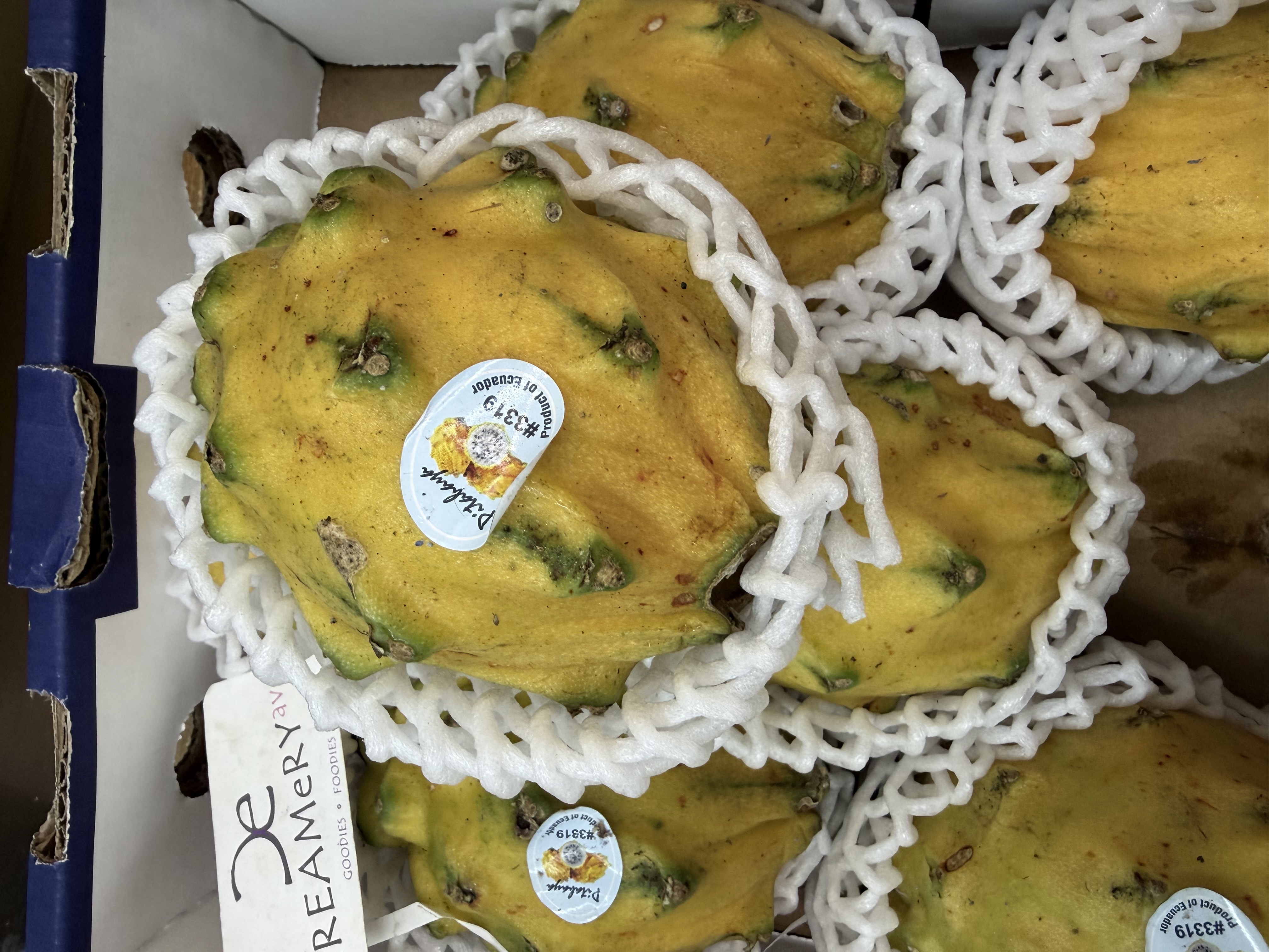 厄瓜多爾麒麟果 Ecuador Yellow Pitaya 7裝 2個