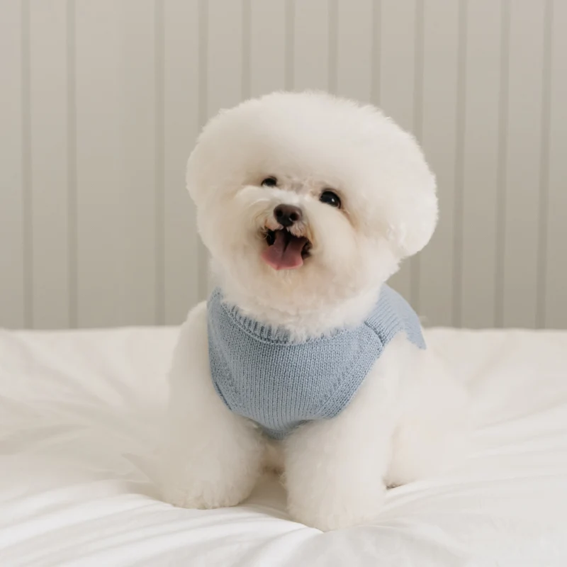 Bite Me🇰🇷SSFW Tiny Garden Knit Bib 針織小花園口袋背心 (3色)