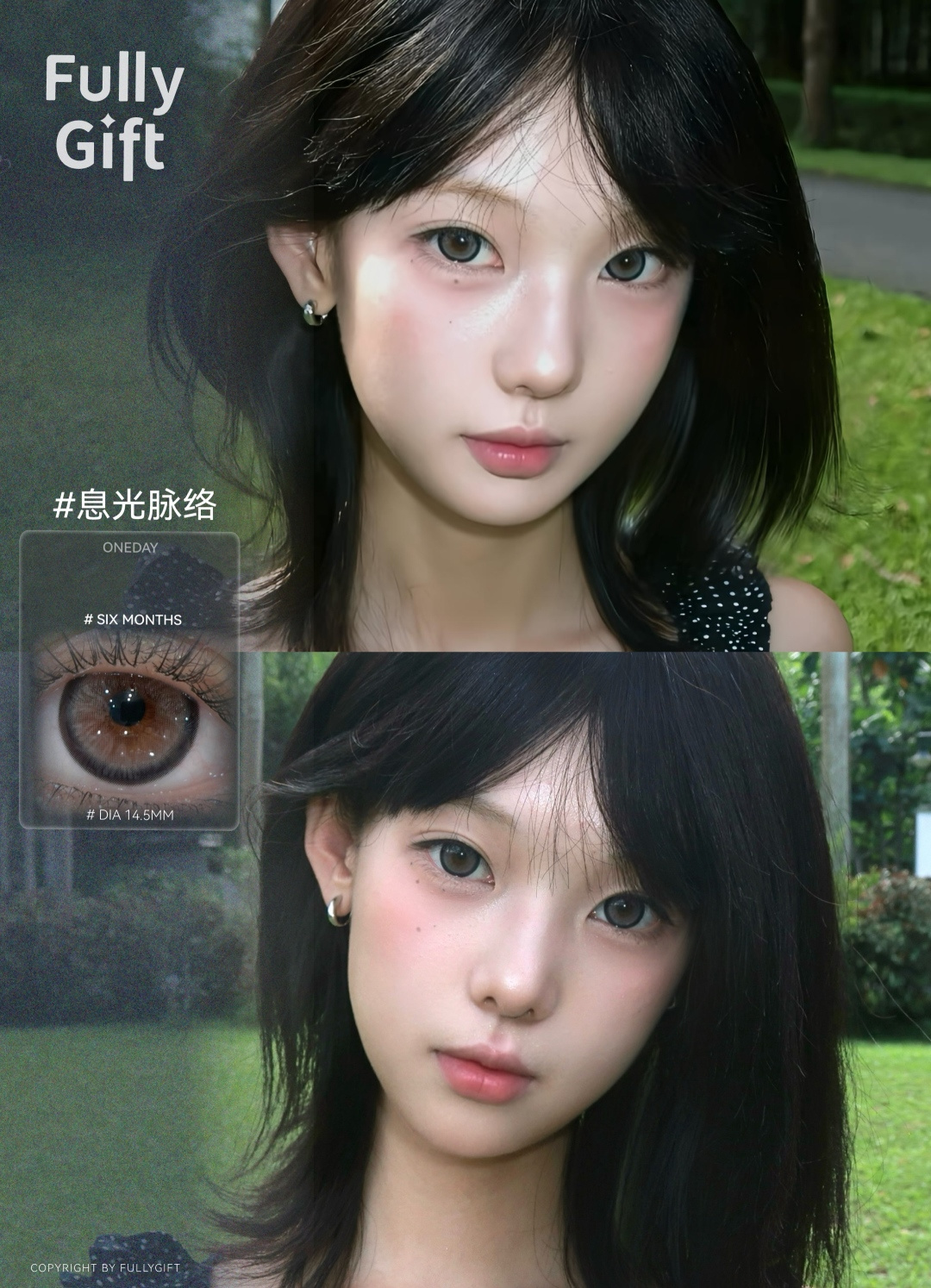 FullyGift 半年拋 浴光沙礫/息光脉絡/沐光椰吻