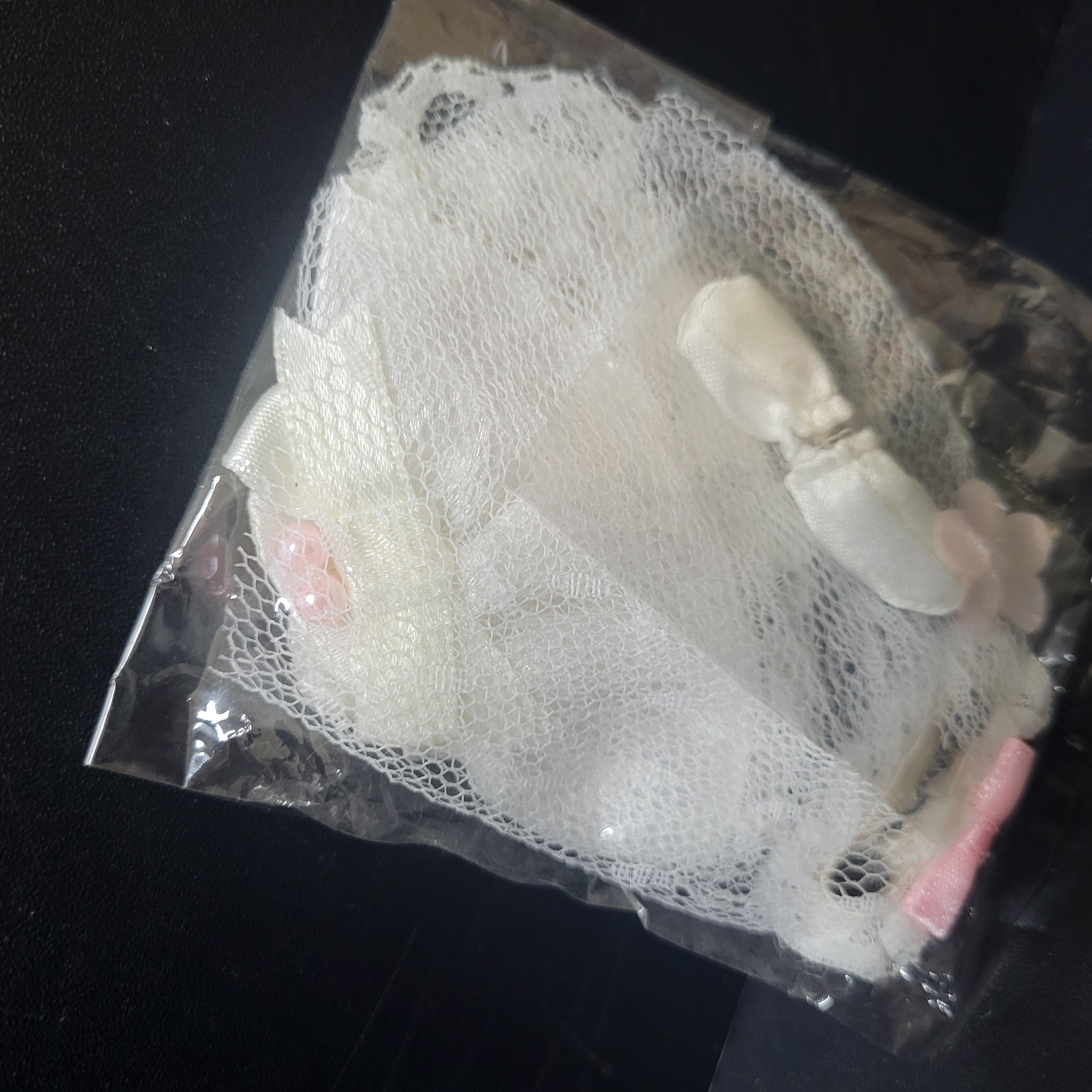 森林家族衫仔B0413