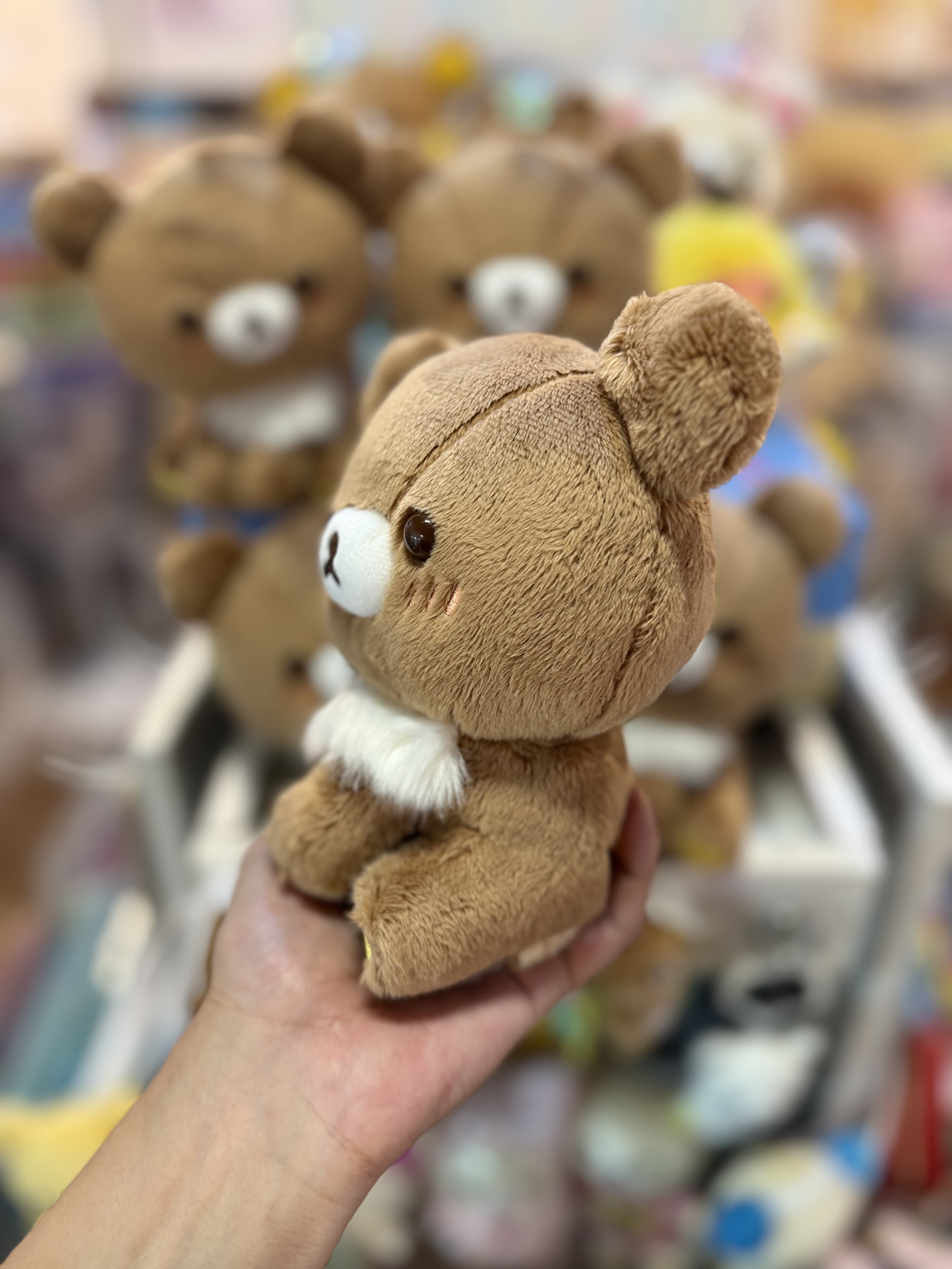 《現貨》全新日本專店限定小熊10週年 側坐小熊公仔