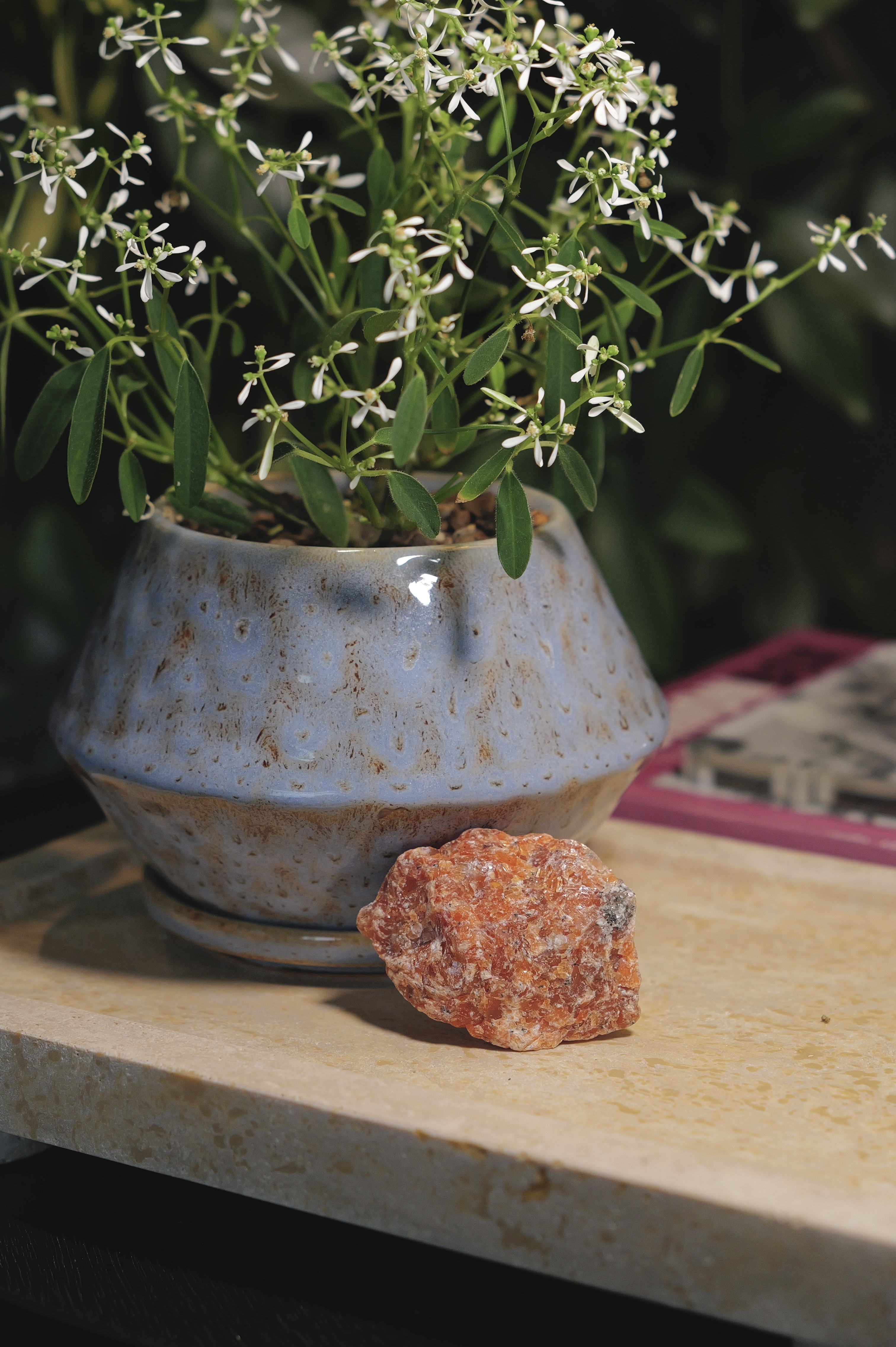 ༒6.2cm金太陽原石  ༒ SS.7058CGS8-RB3*2mf