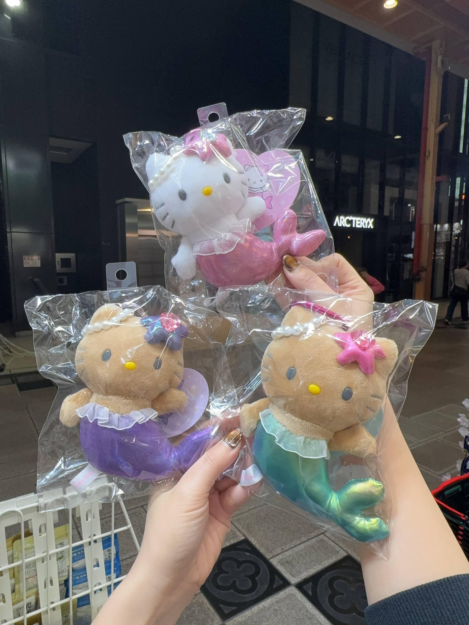 🇯🇵Kitty 美人鱼