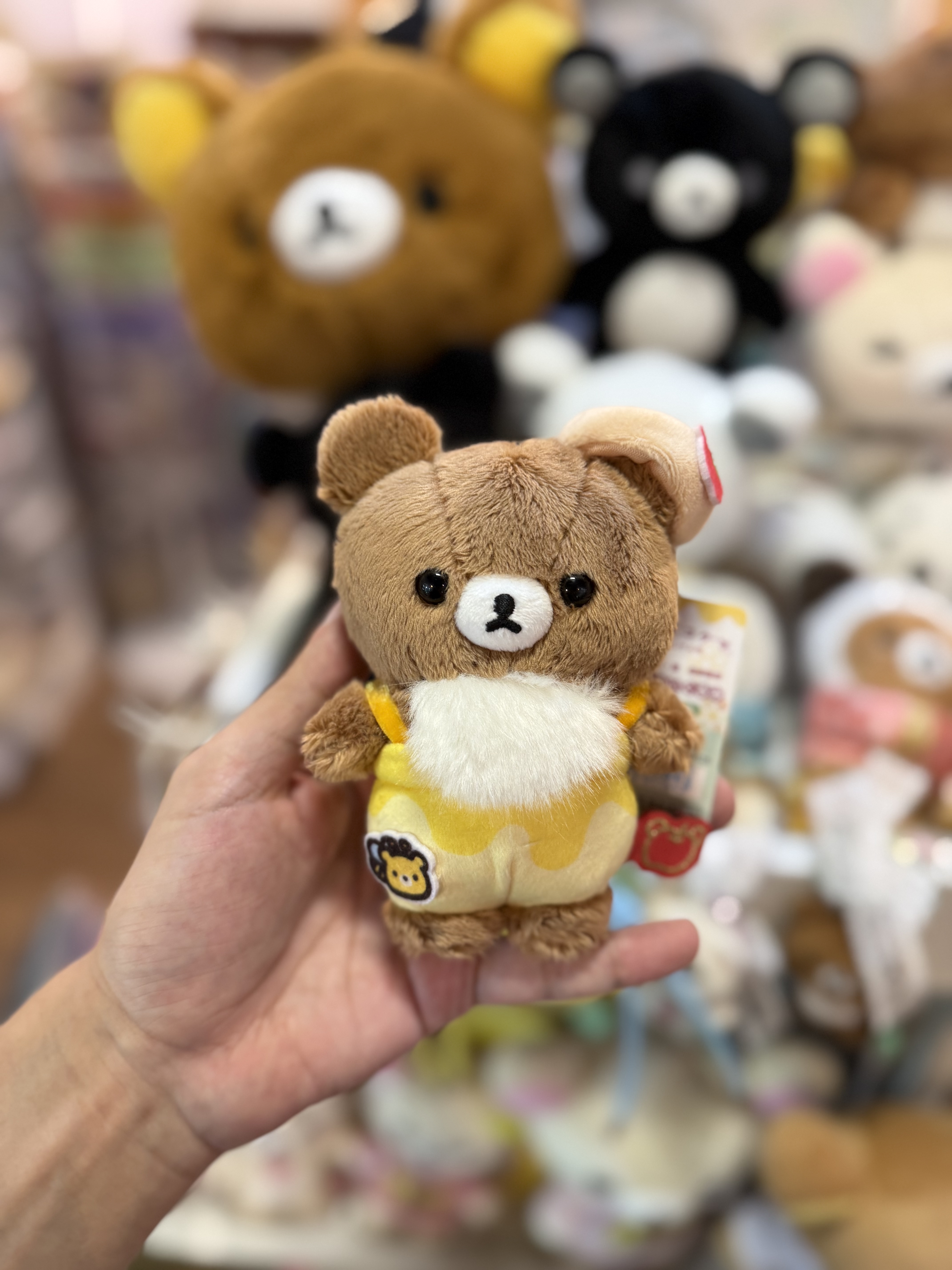 《現貨》全新日本小熊10週年紀念巡迴pop up店限定小熊探險隊系列掛飾