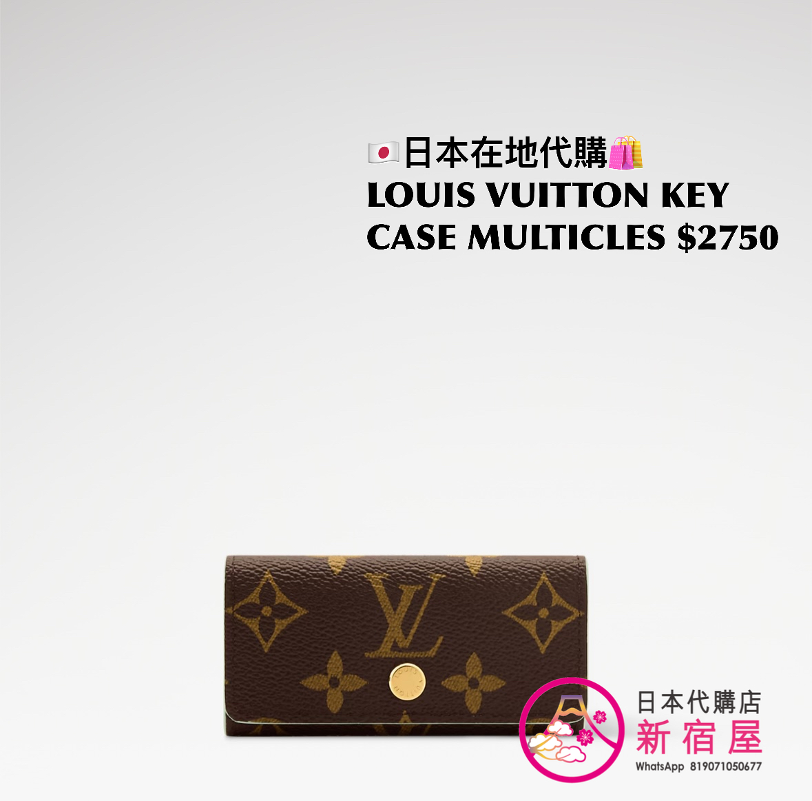 LOUIS VUITTON MULTICLES 4 KEY CASE