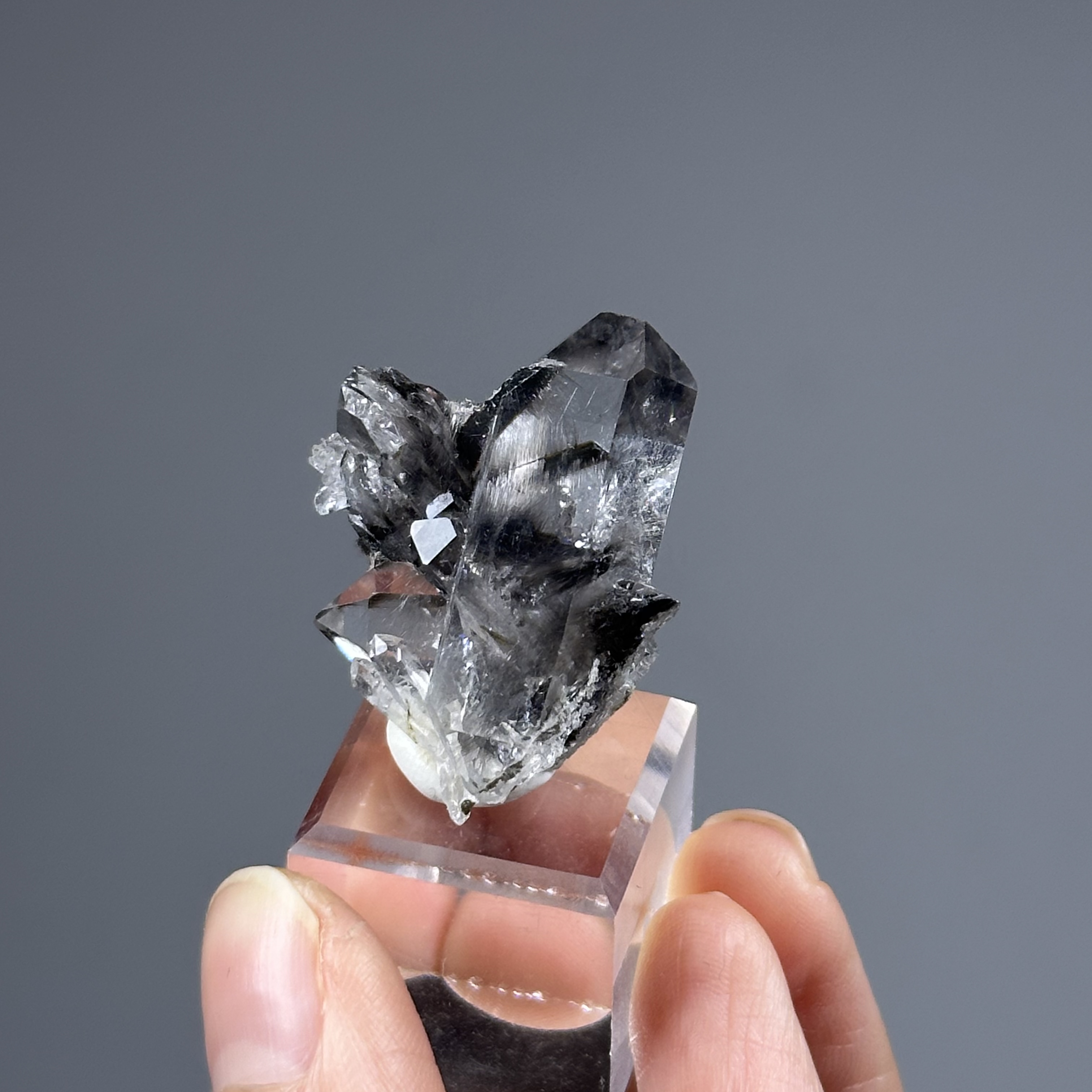 黑銀鈦水晶簇 - Brookite and Rutile Quartz | RU014